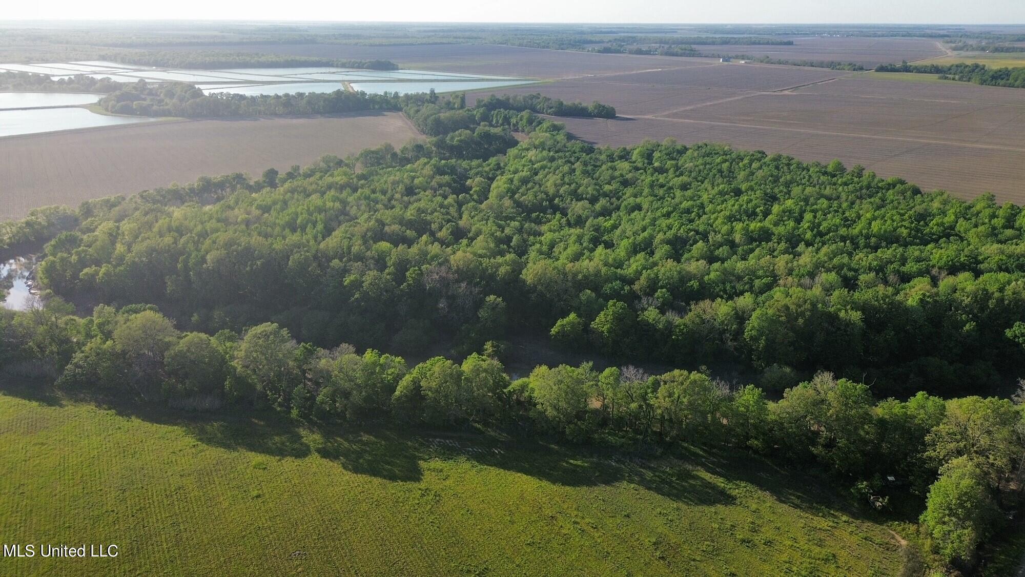 County Road 523, Schlater, Mississippi image 4