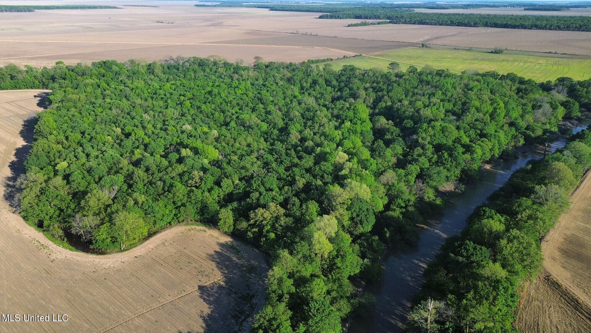 County Road 523, Schlater, Mississippi image 1