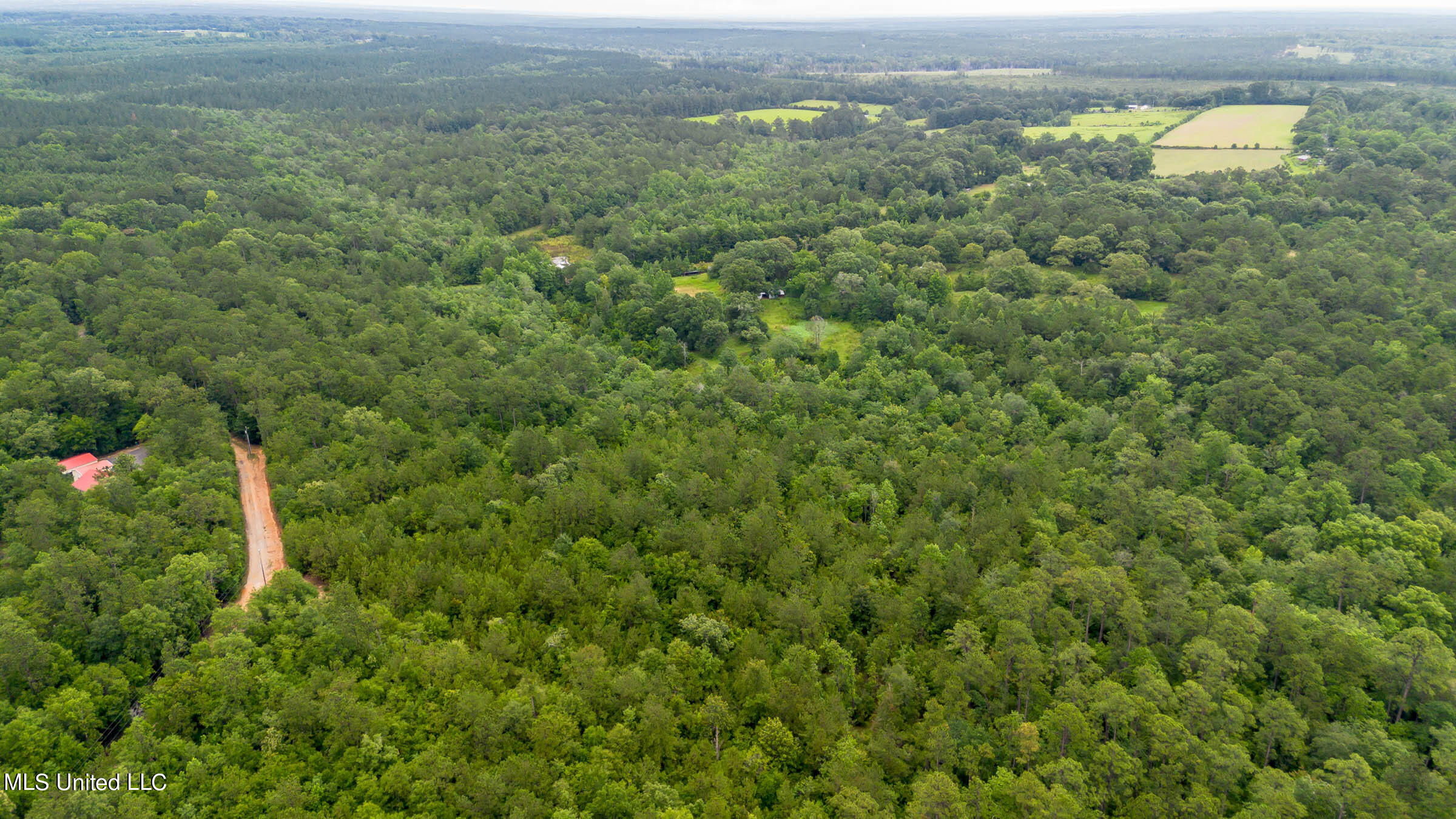 Tally Shaw Road, Perkinston, Mississippi image 11