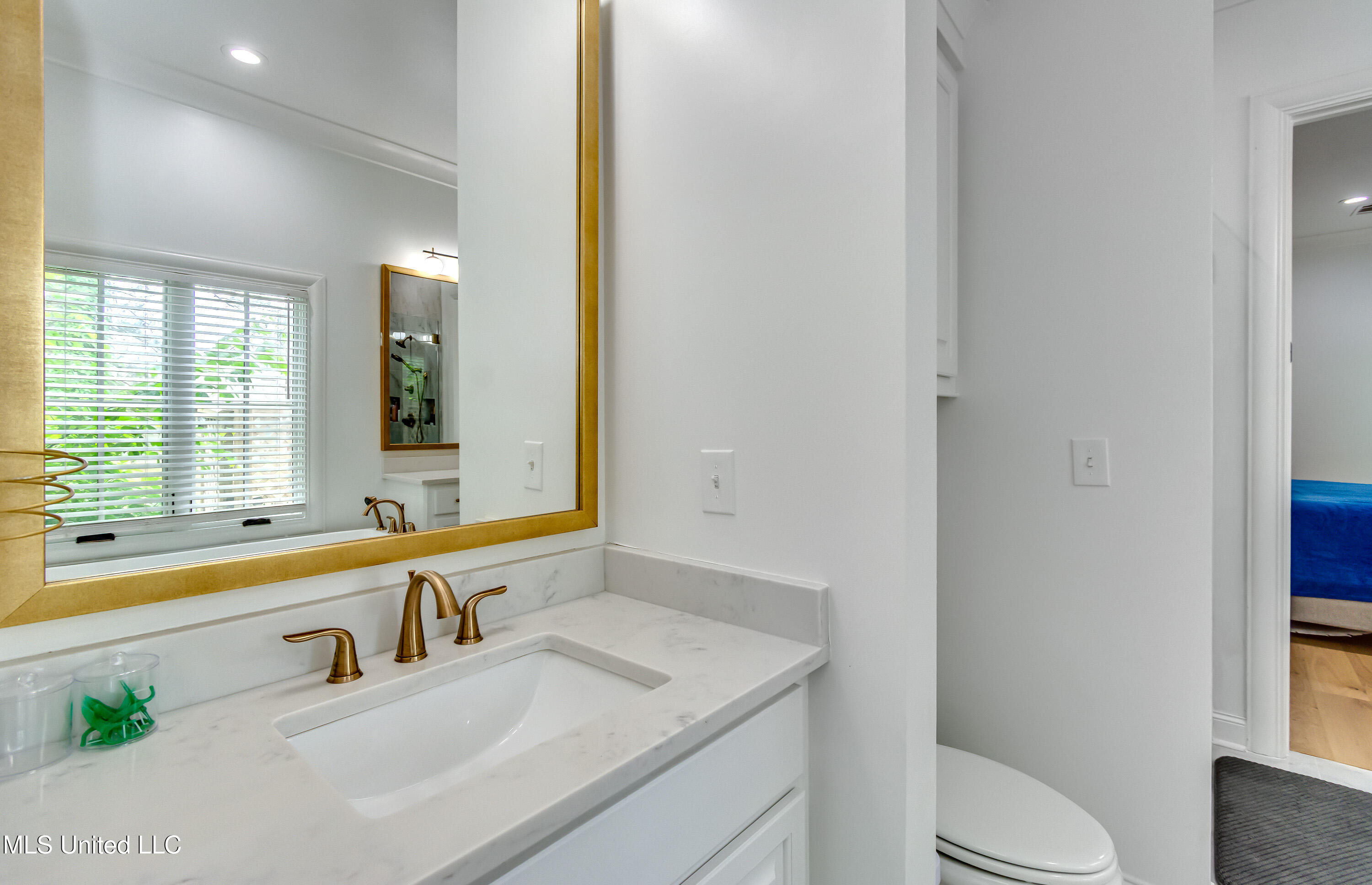 107 Chadwyck Court, Madison, Mississippi image 35