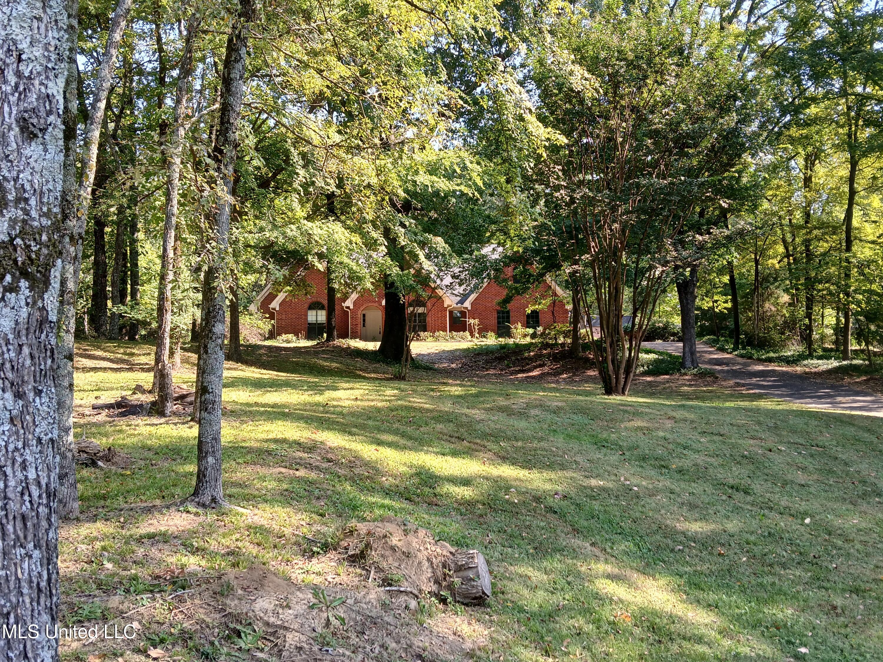 5380 Park Place Drive Dr, Horn Lake, Mississippi image 4