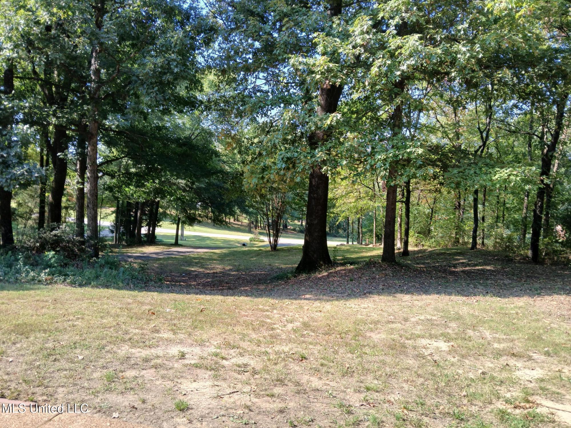 5380 Park Place Drive Dr, Horn Lake, Mississippi image 6