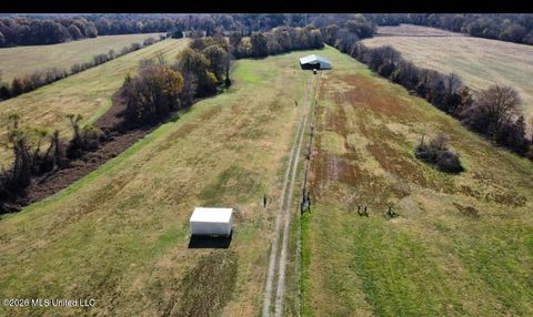 Vacant Land For Sale - 4444 Whippoorwill Road<br/> Benton County, Walnut, MS 38683
