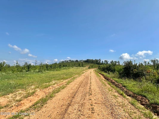 2 WILL LN, STARKVILLE, MS 39759 - Image 2d38ccf3e296464f2acd6496db4fcbb1/3151350604