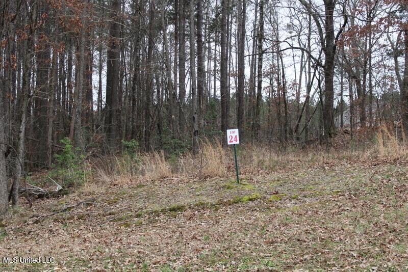 Ella Lane, Byhalia, Mississippi image 1