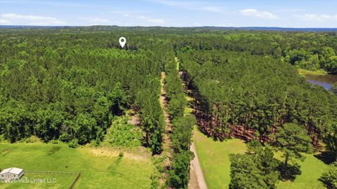 Vacant Land For Sale - Old Lake Road<br/> Brandon, MS 39042