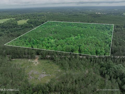 Vacant Land For Sale - 40 Acres Hwy 35<br/> Covington County, Mount Olive, MS 39119