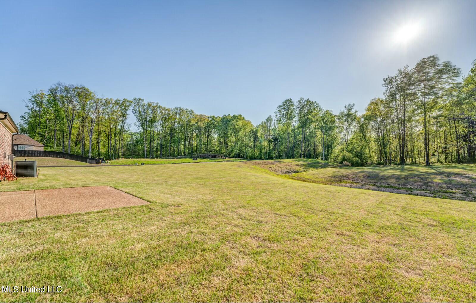 2917 S Cypress Lake Drive, Olive Branch, Mississippi image 41