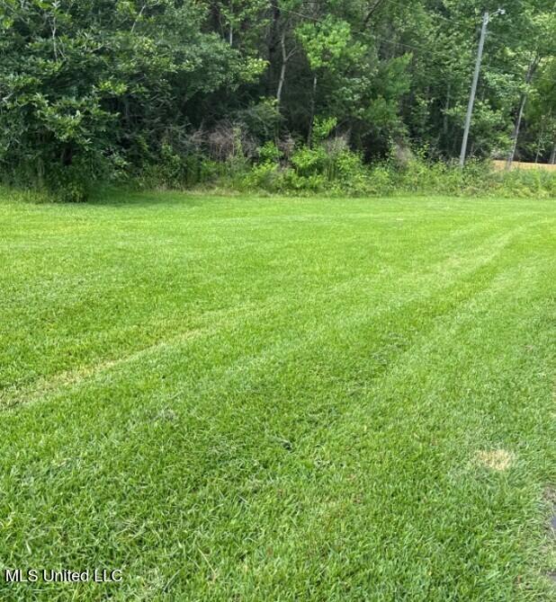 5 Union Church Road, Tylertown, Mississippi image 20