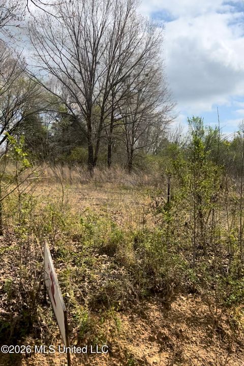 Vacant Land For Sale - LOT 2 Matthews Drive<br/> Byhalia, MS 38611