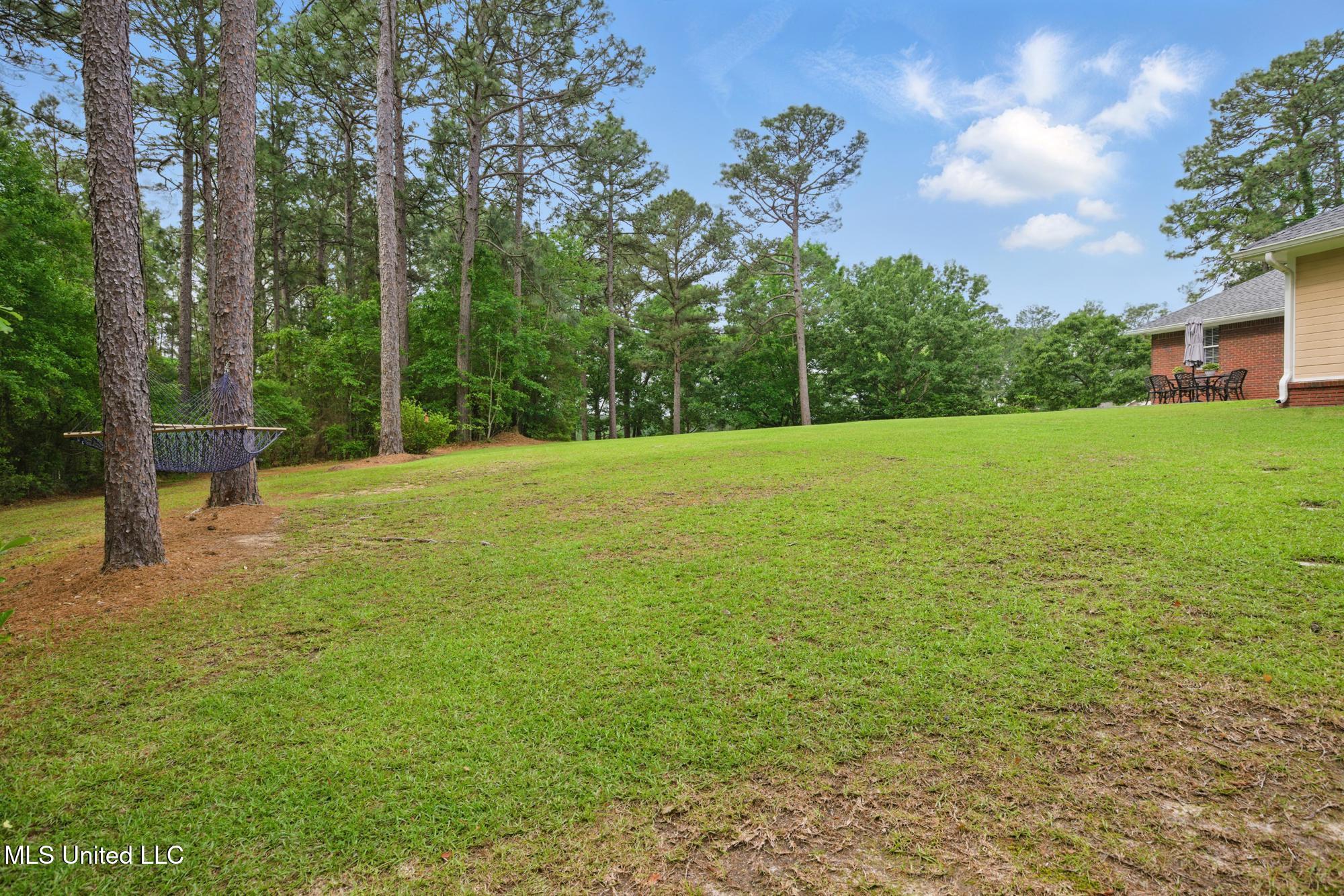 210 Longleaf Drive, Petal, Mississippi image 5