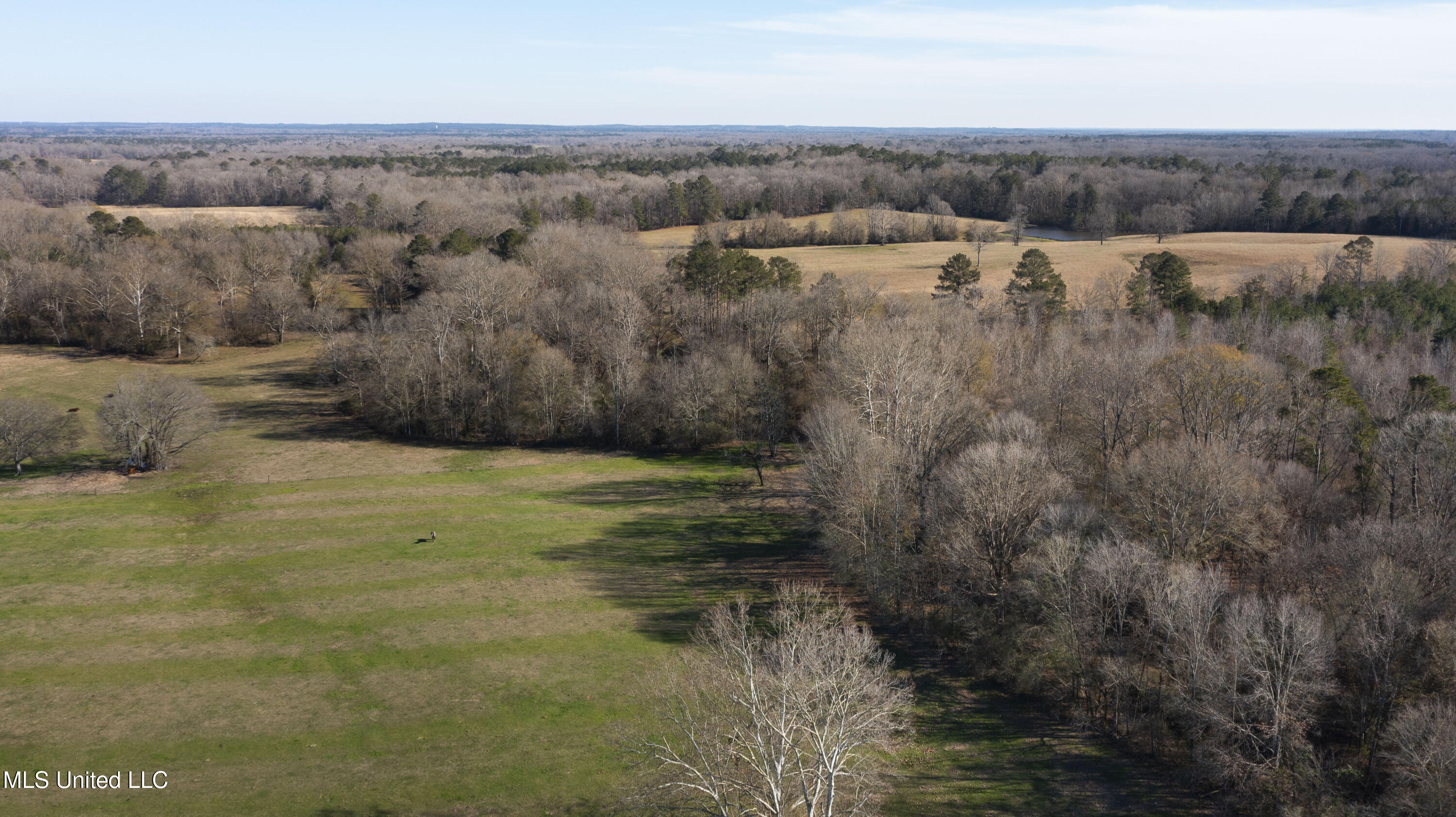 1020 Jack Johnson Road, Crystal Springs, Mississippi image 9