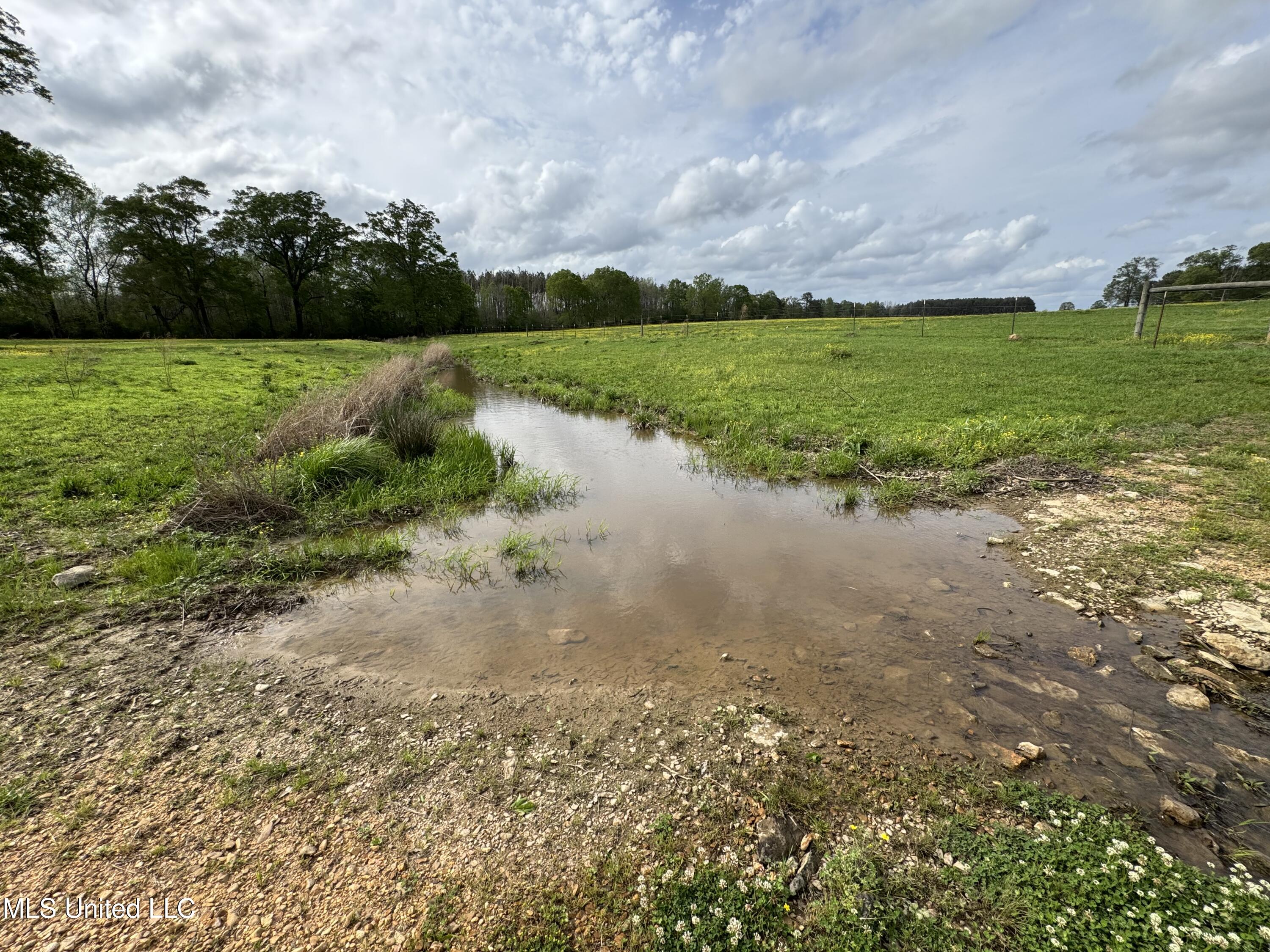 2509 Bogue Chitto Road, Smithdale, Mississippi image 37