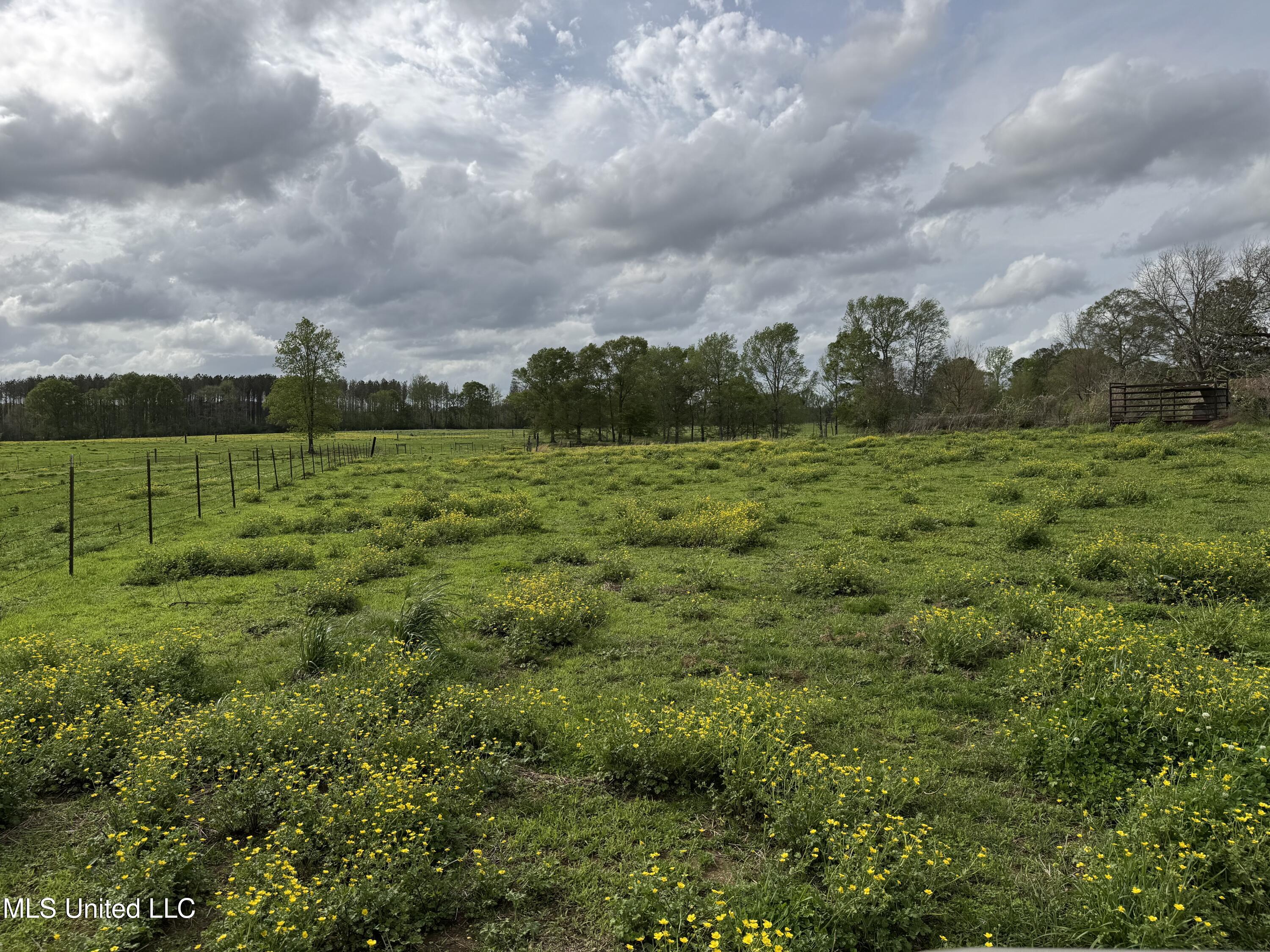 2509 Bogue Chitto Road, Smithdale, Mississippi image 20