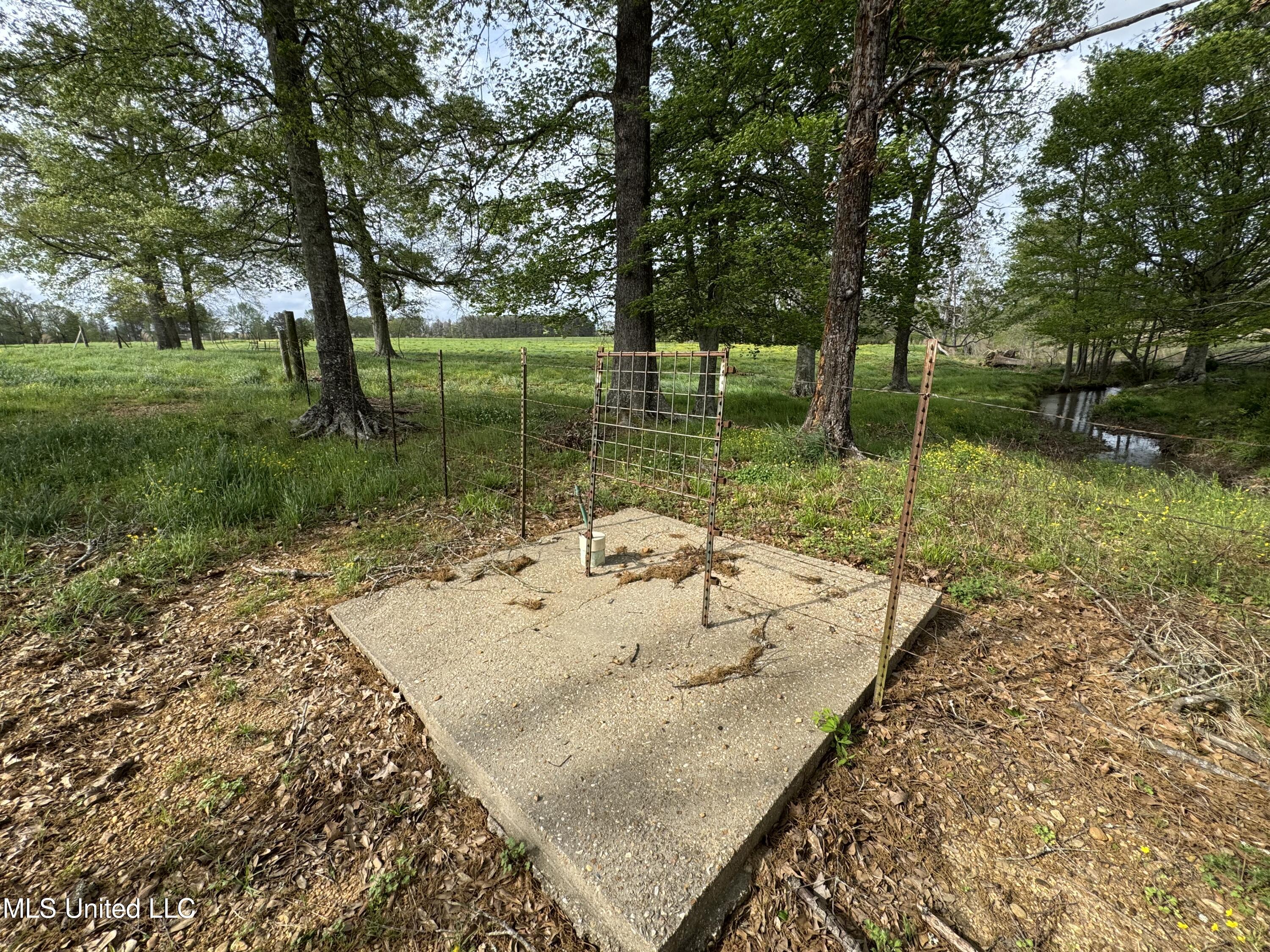2509 Bogue Chitto Road, Smithdale, Mississippi image 34