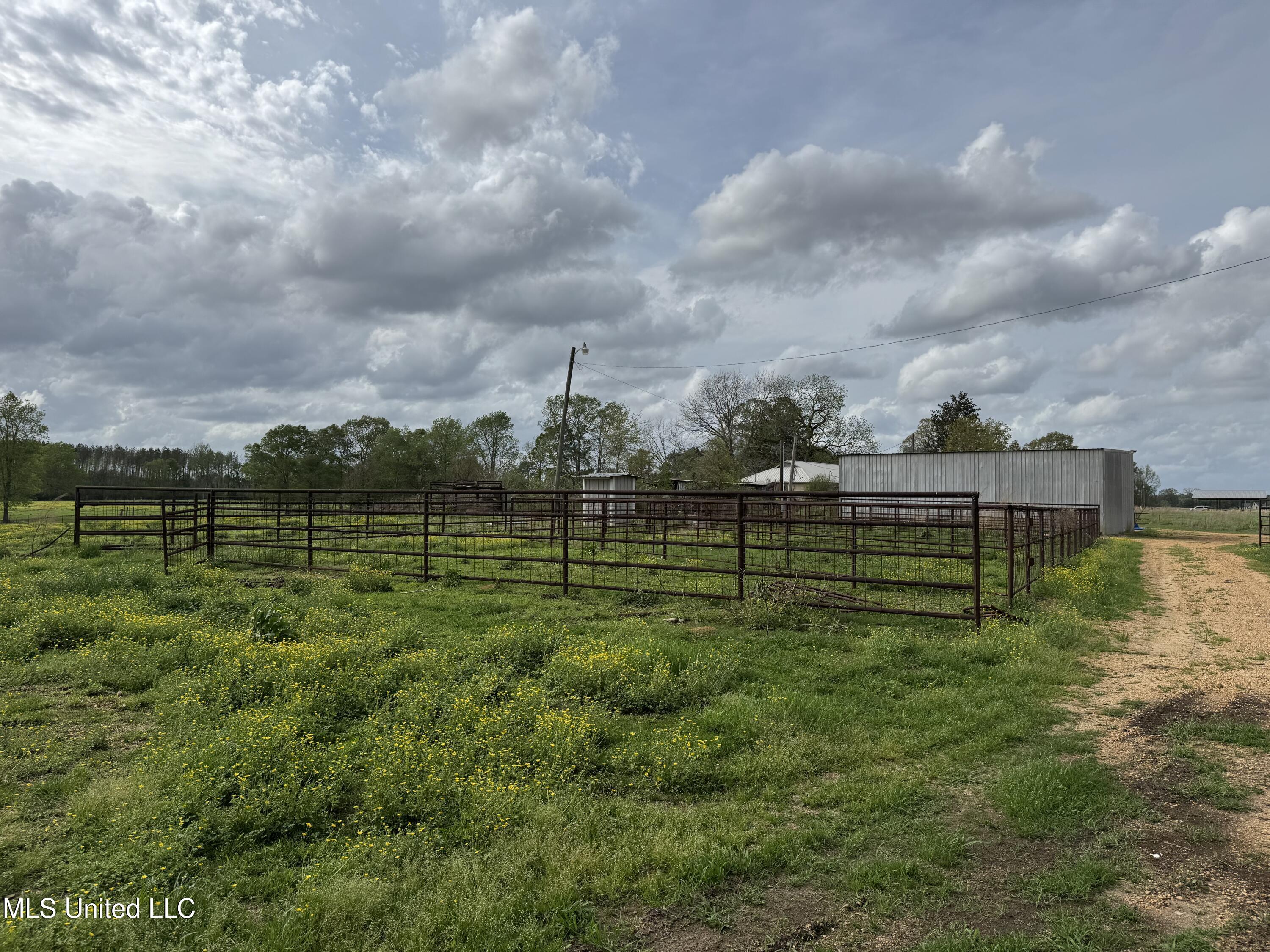 2509 Bogue Chitto Road, Smithdale, Mississippi image 17