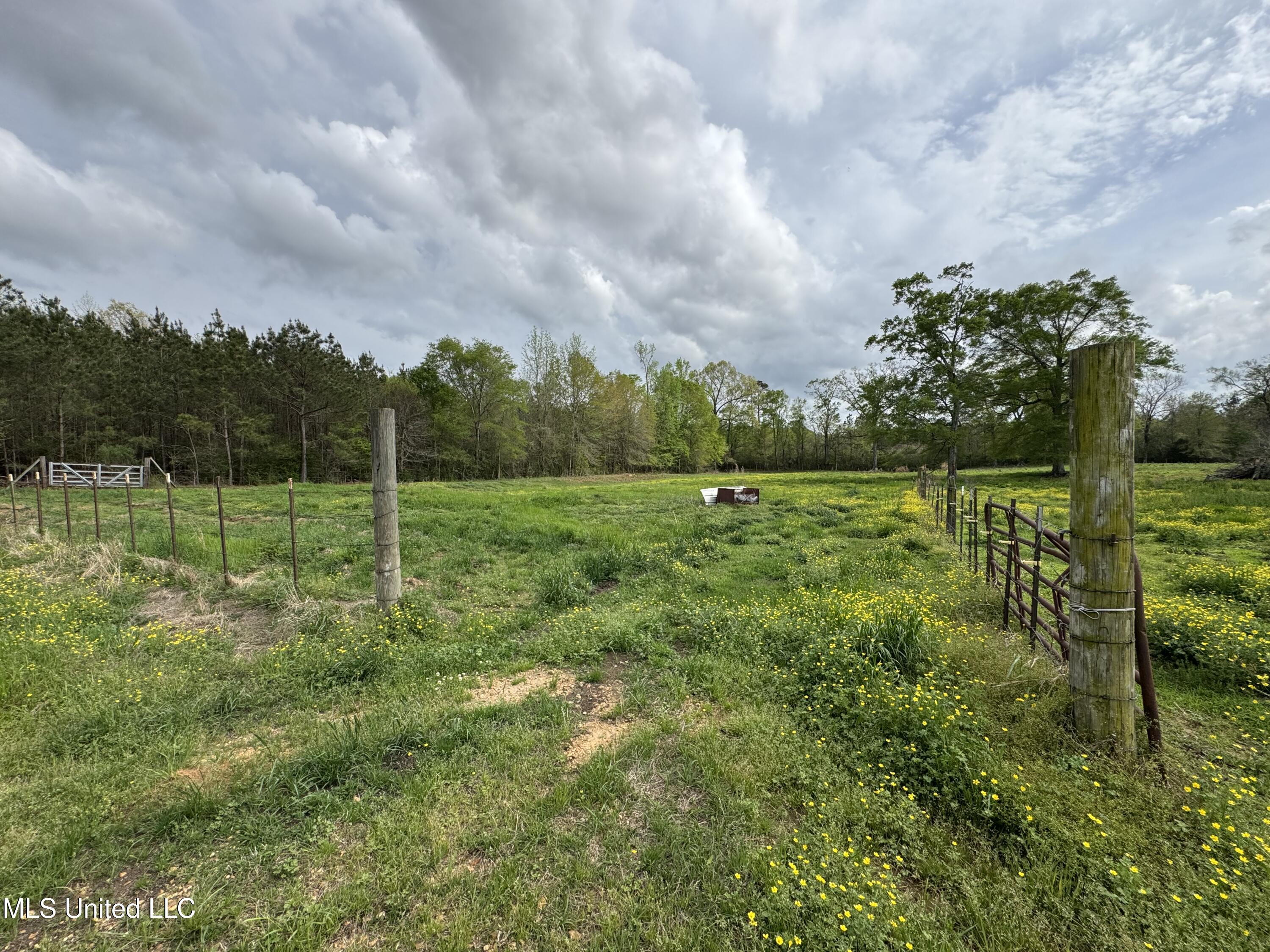 2509 Bogue Chitto Road, Smithdale, Mississippi image 25