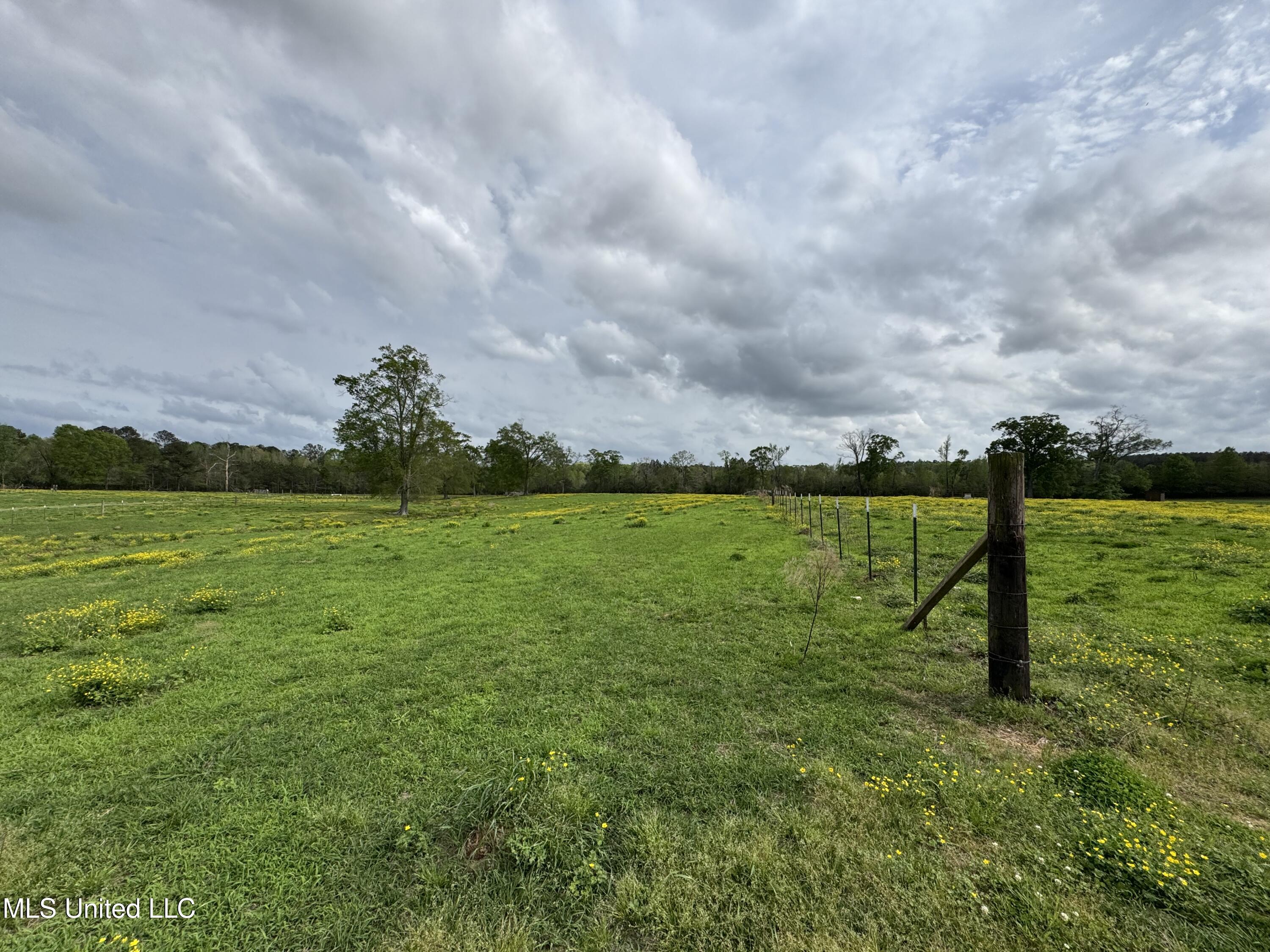 2509 Bogue Chitto Road, Smithdale, Mississippi image 29