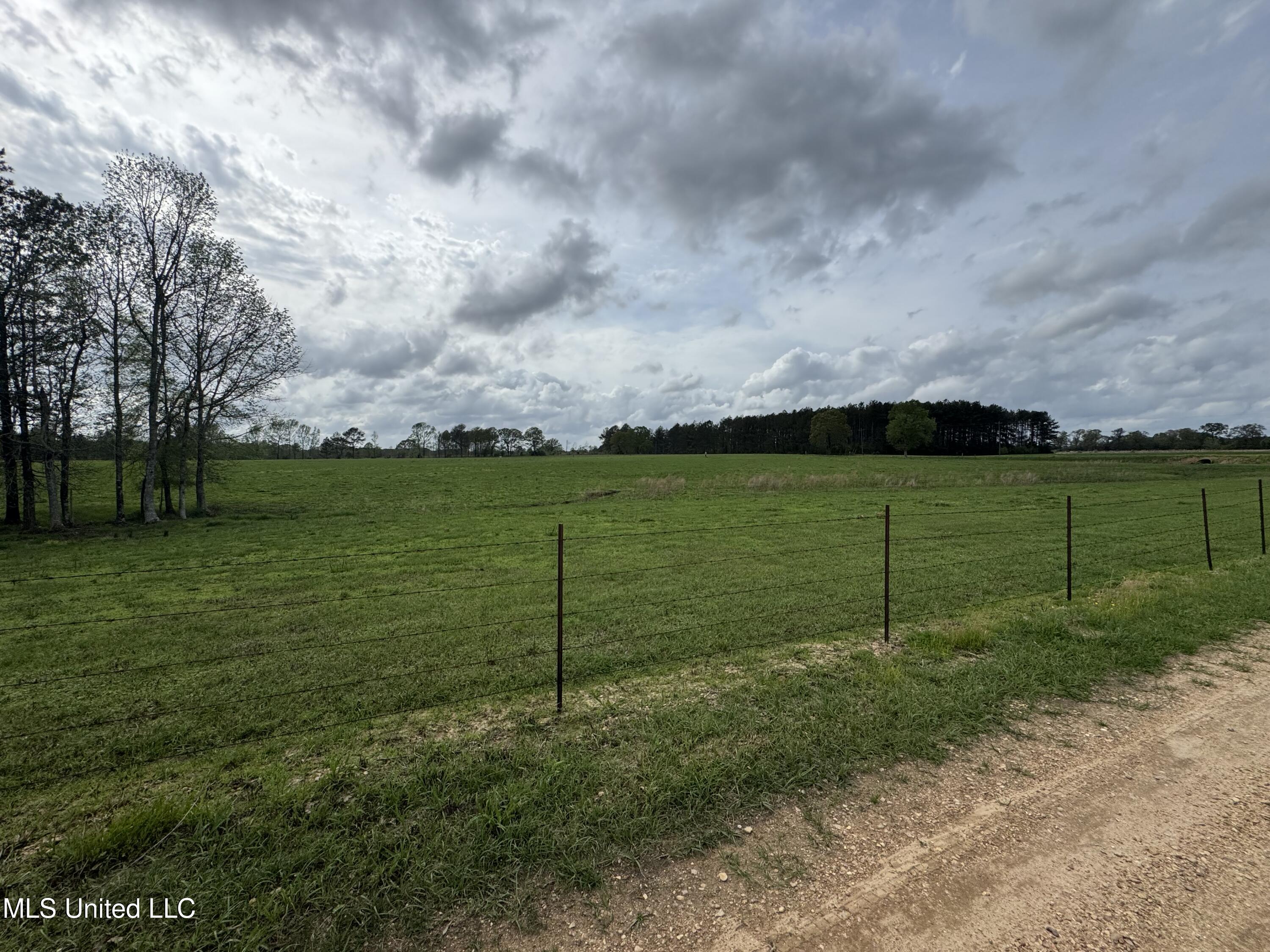 2509 Bogue Chitto Road, Smithdale, Mississippi image 8
