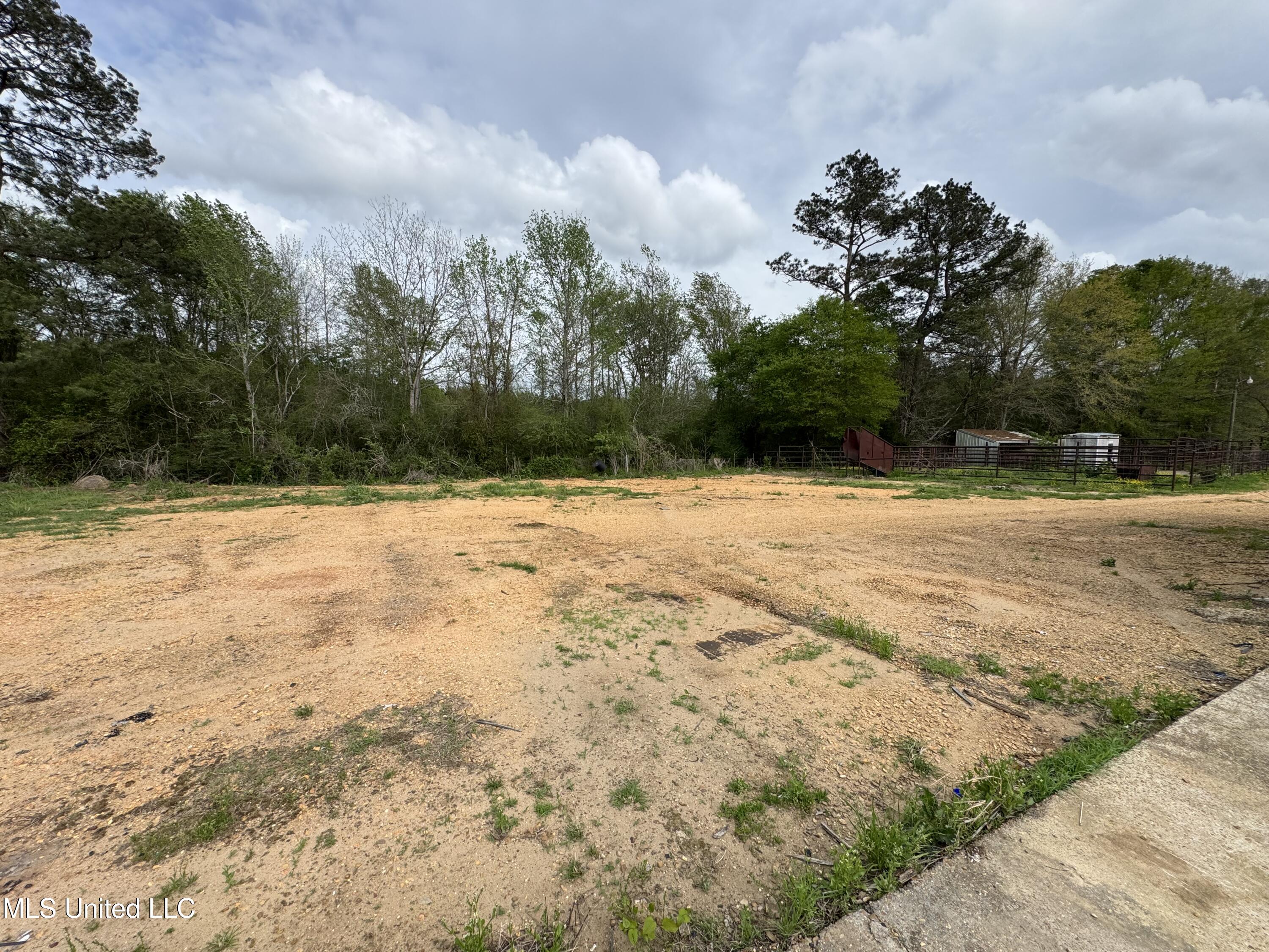 2509 Bogue Chitto Road, Smithdale, Mississippi image 11
