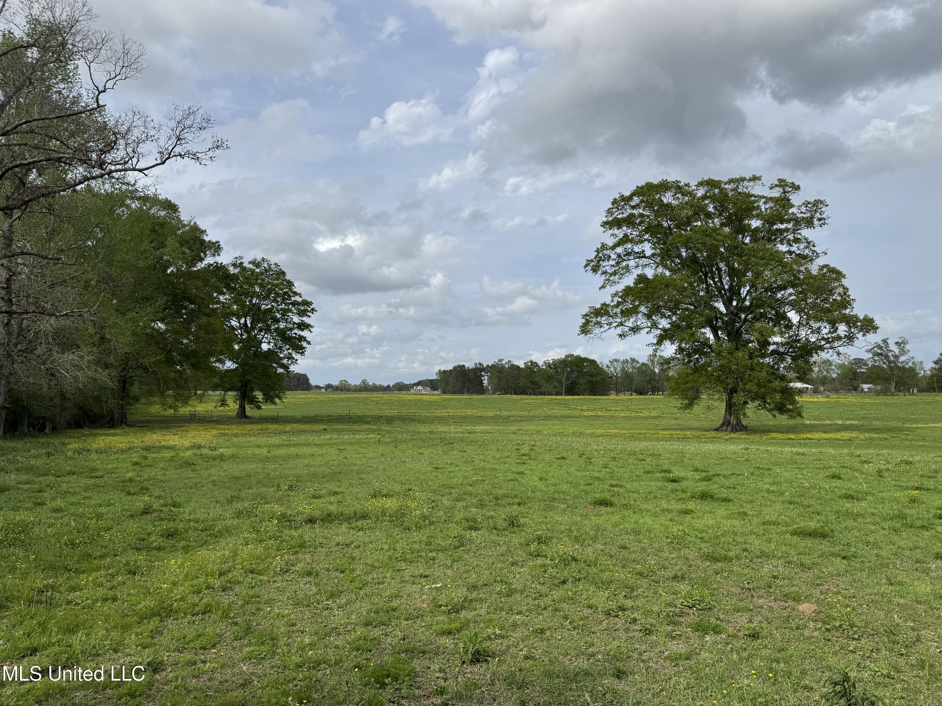 2509 Bogue Chitto Road, Smithdale, Mississippi image 41
