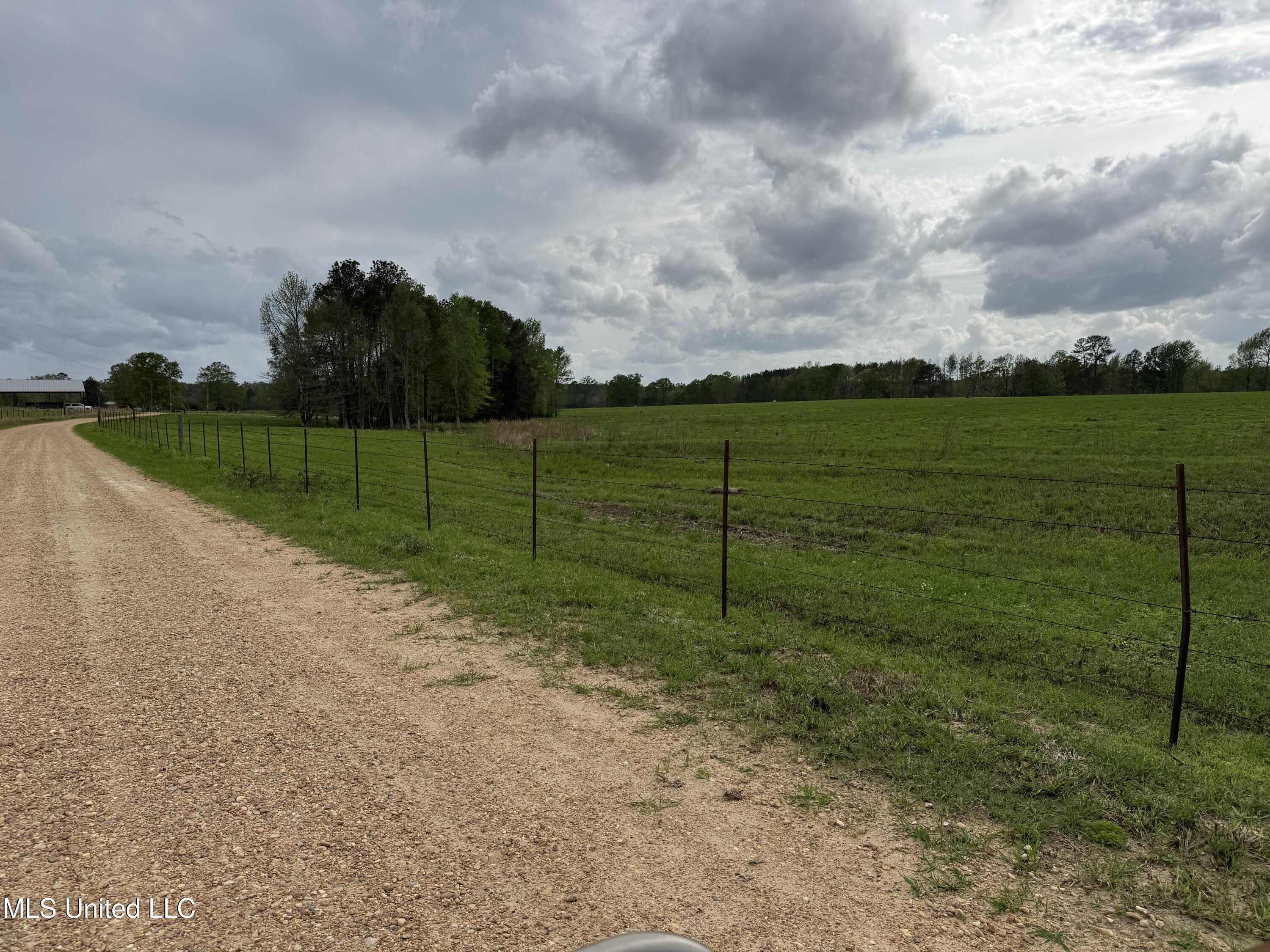 2509 Bogue Chitto Road, Smithdale, Mississippi image 6