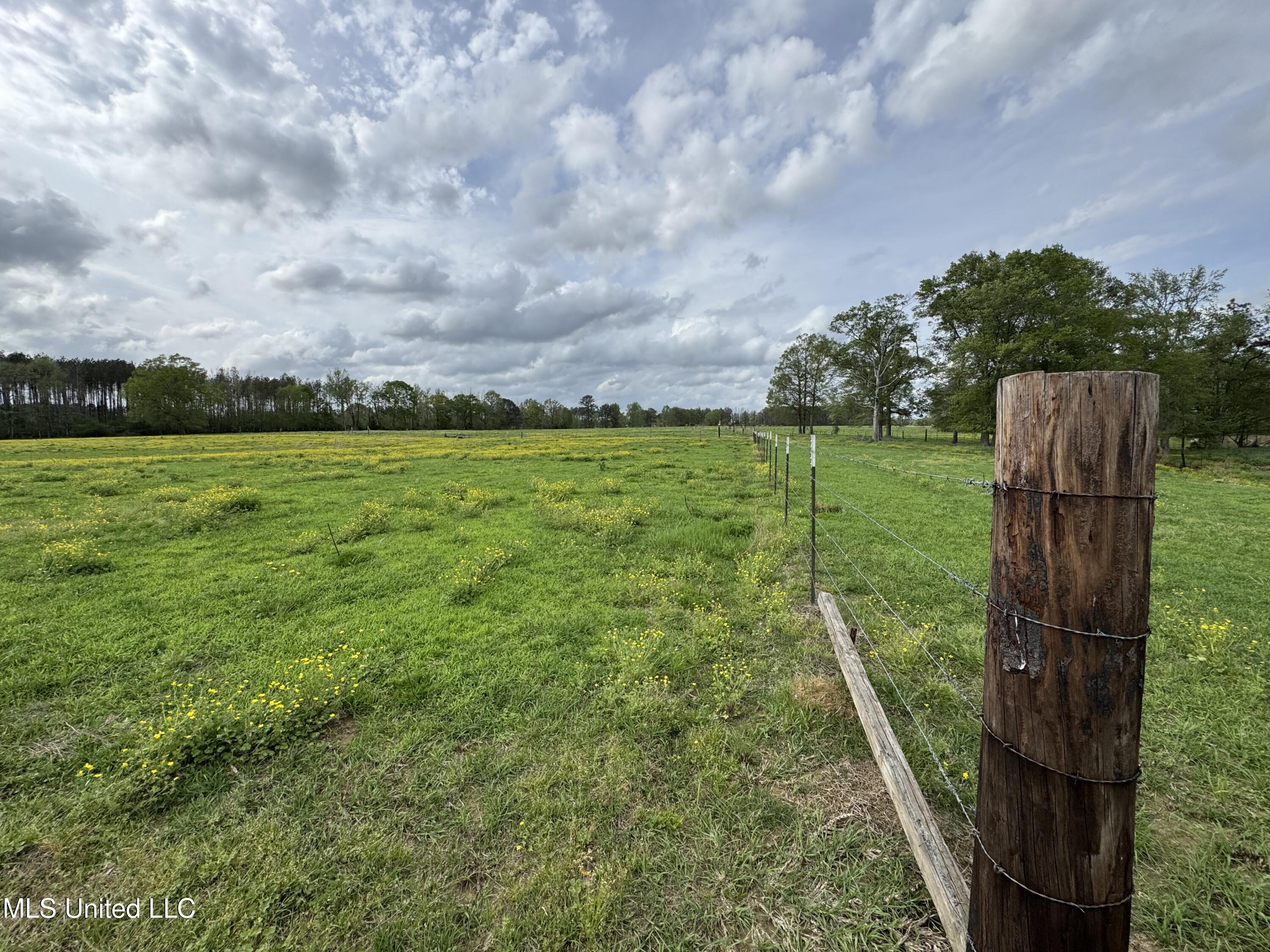2509 Bogue Chitto Road, Smithdale, Mississippi image 31