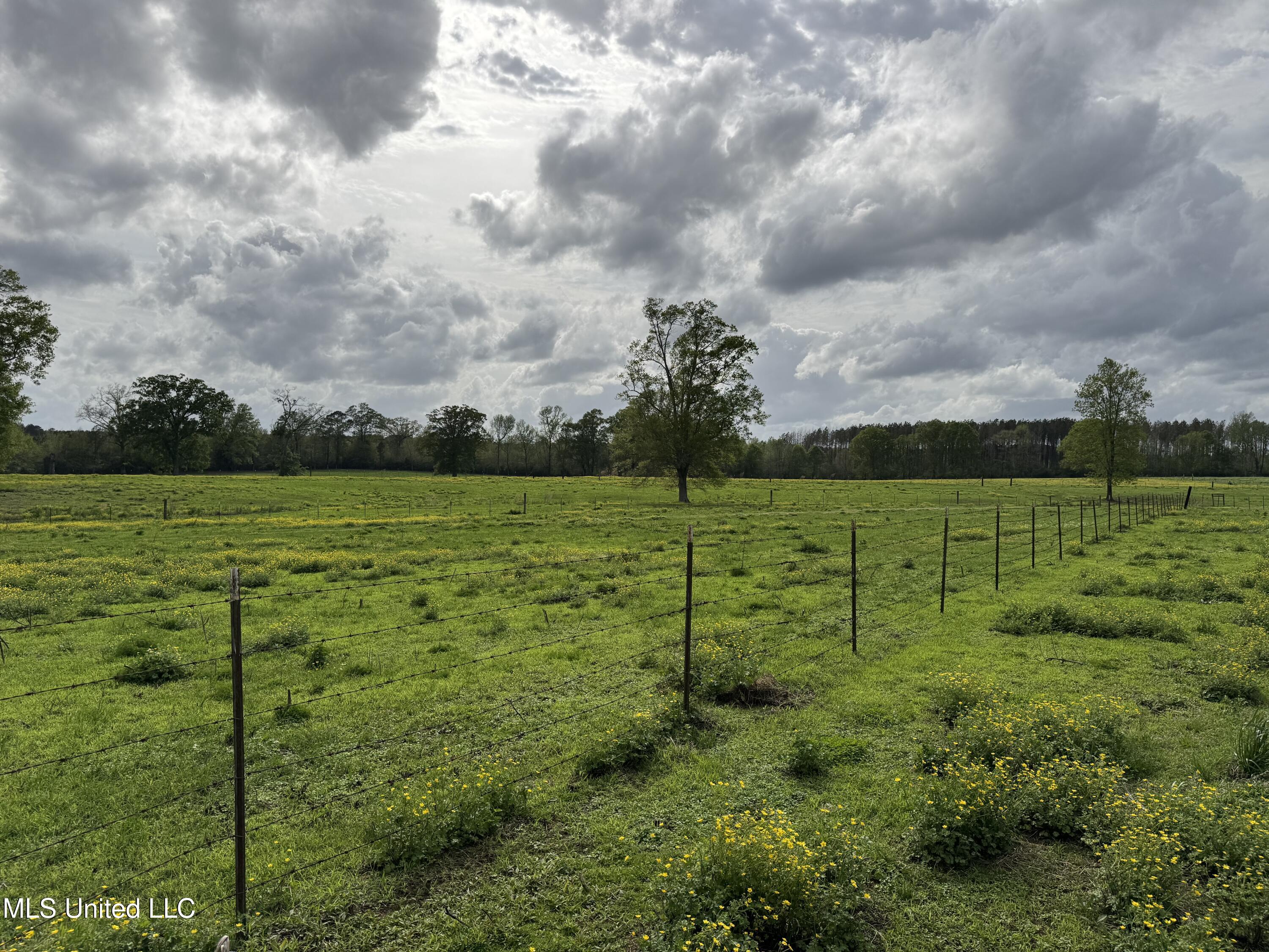 2509 Bogue Chitto Road, Smithdale, Mississippi image 21