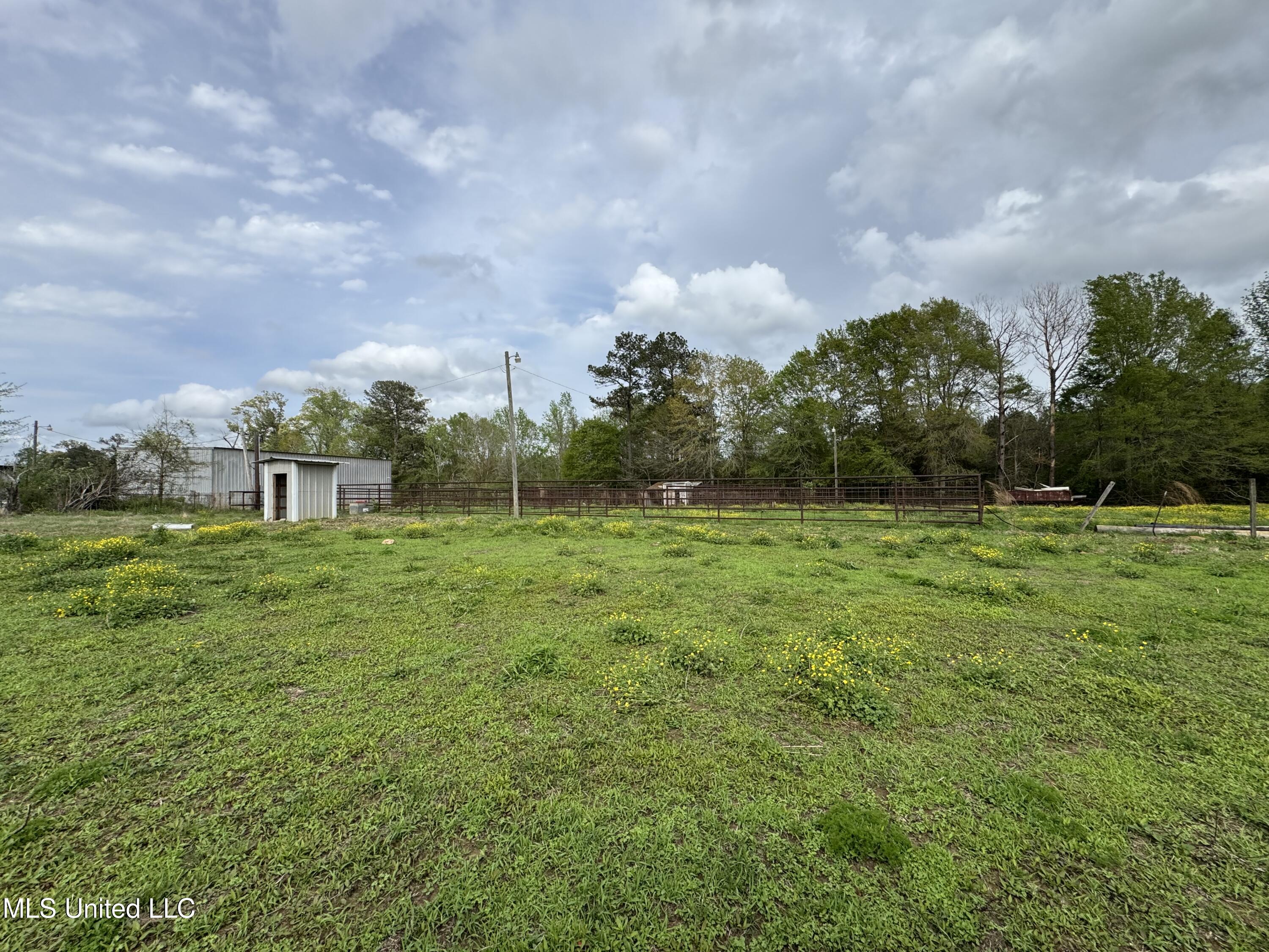 2509 Bogue Chitto Road, Smithdale, Mississippi image 24