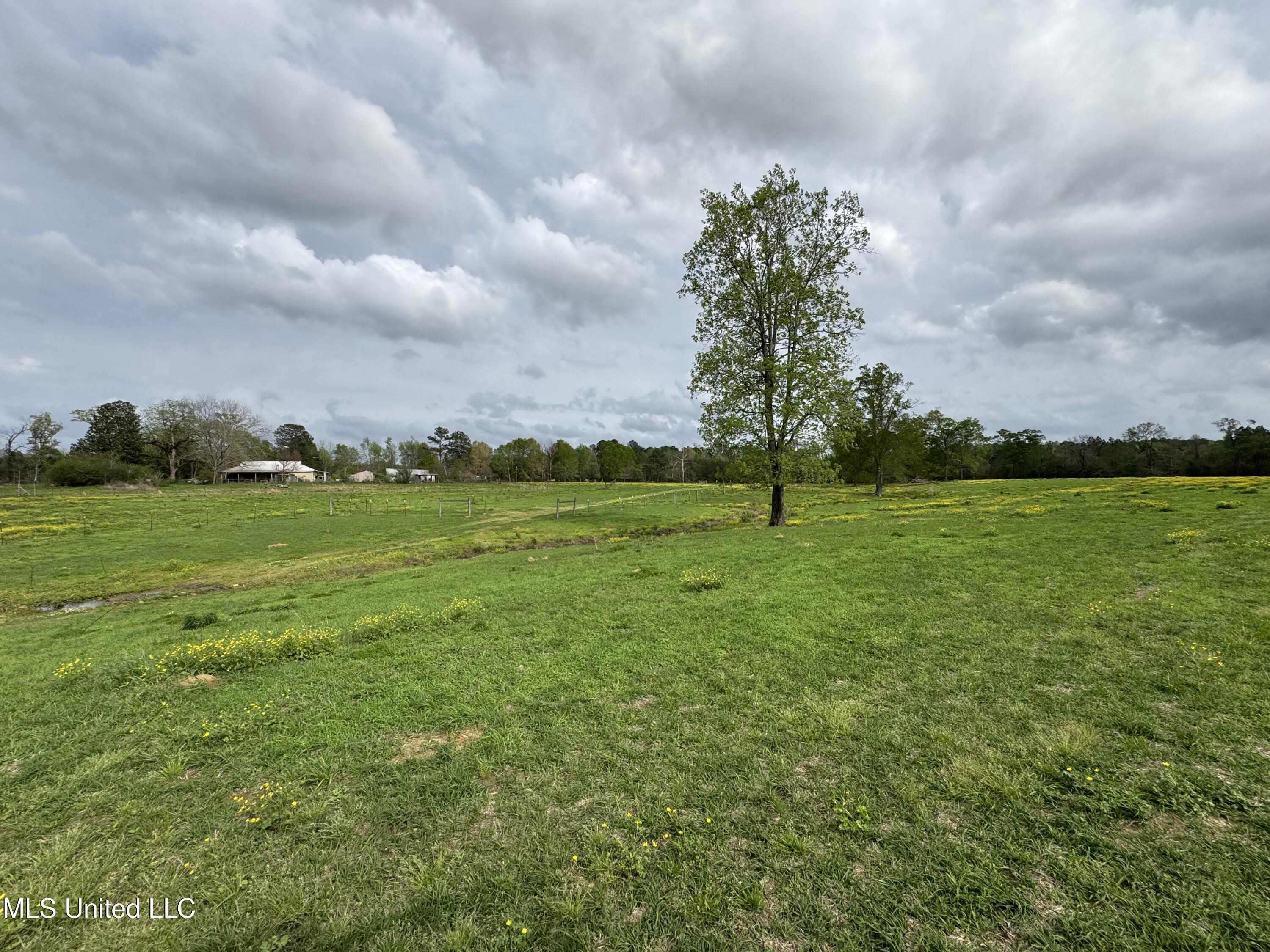 2509 Bogue Chitto Road, Smithdale, Mississippi image 27