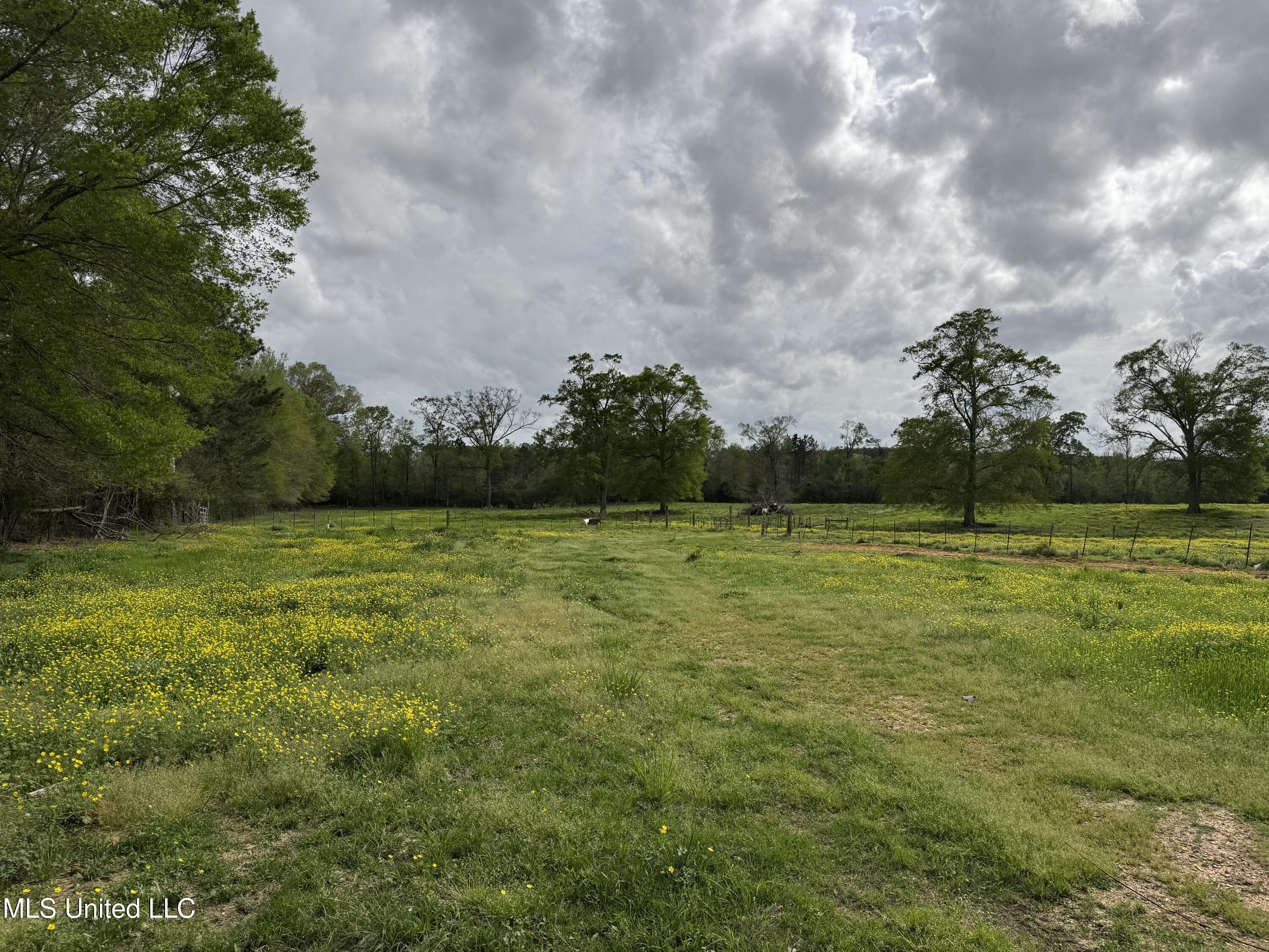 2509 Bogue Chitto Road, Smithdale, Mississippi image 19