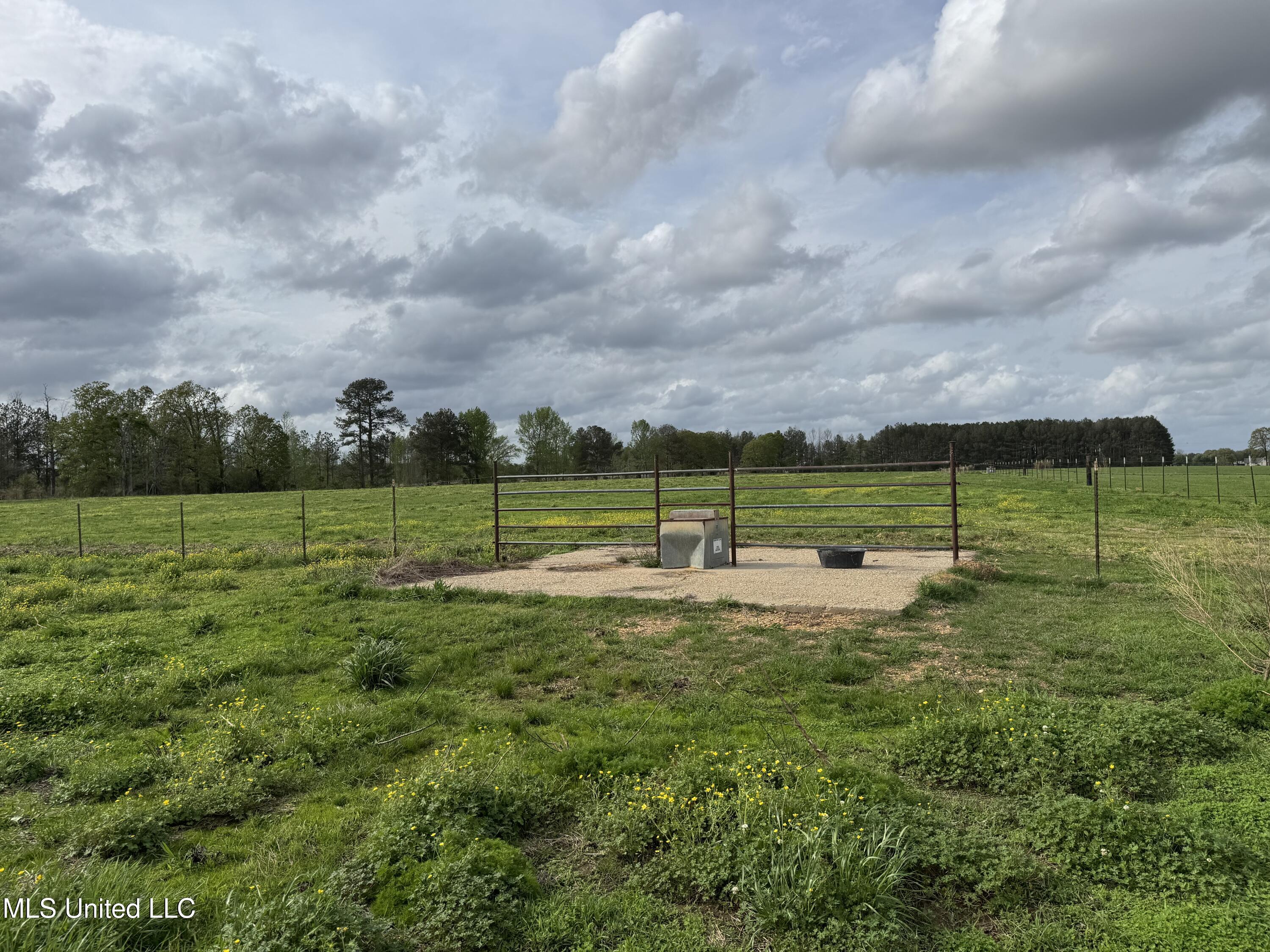2509 Bogue Chitto Road, Smithdale, Mississippi image 47