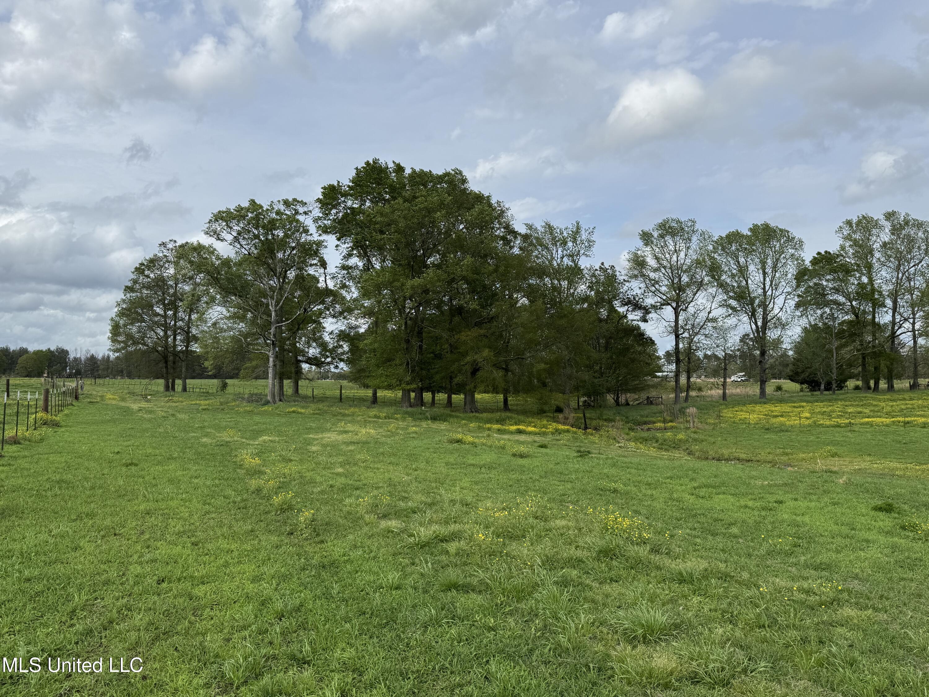2509 Bogue Chitto Road, Smithdale, Mississippi image 32