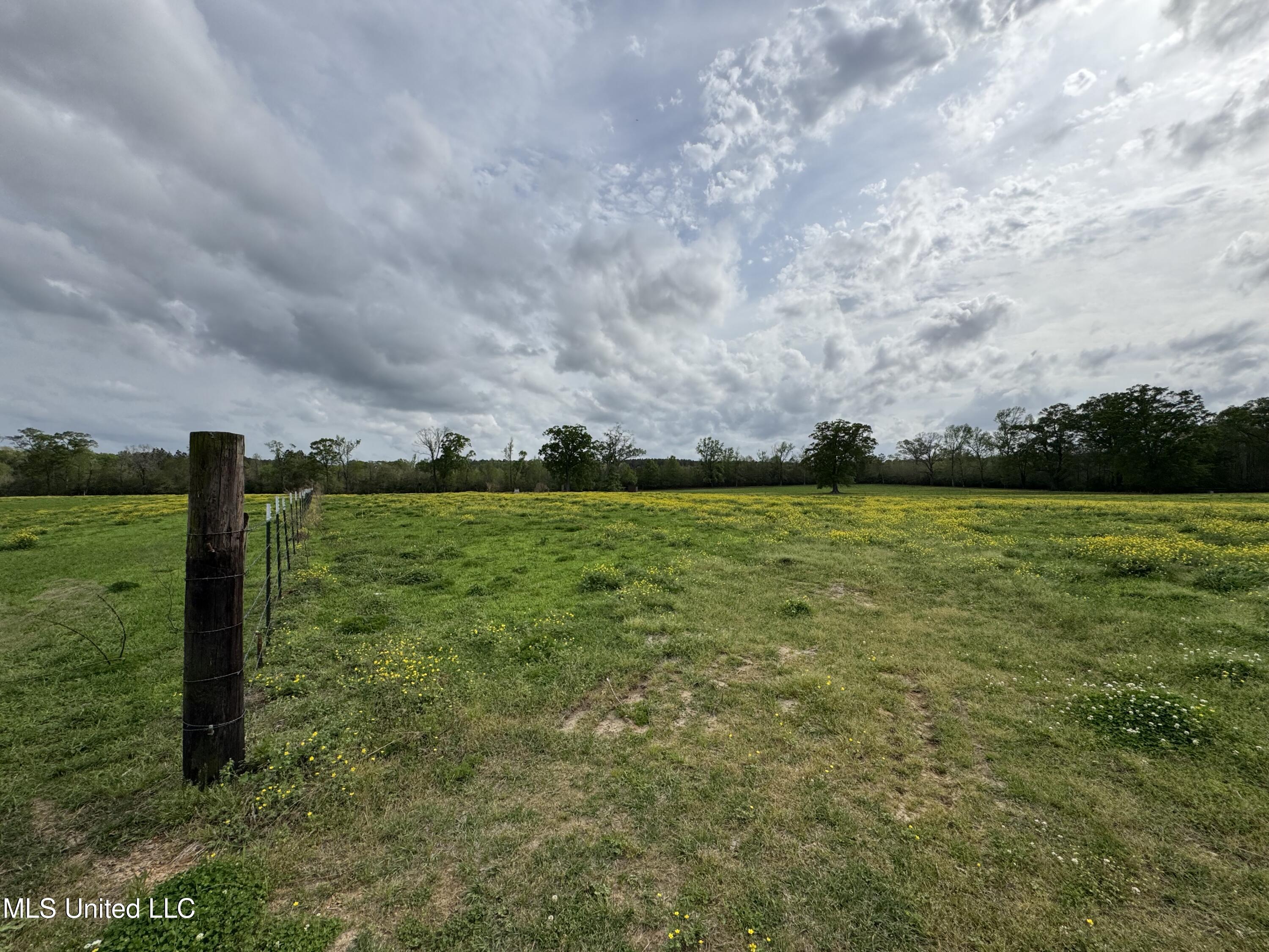 2509 Bogue Chitto Road, Smithdale, Mississippi image 30