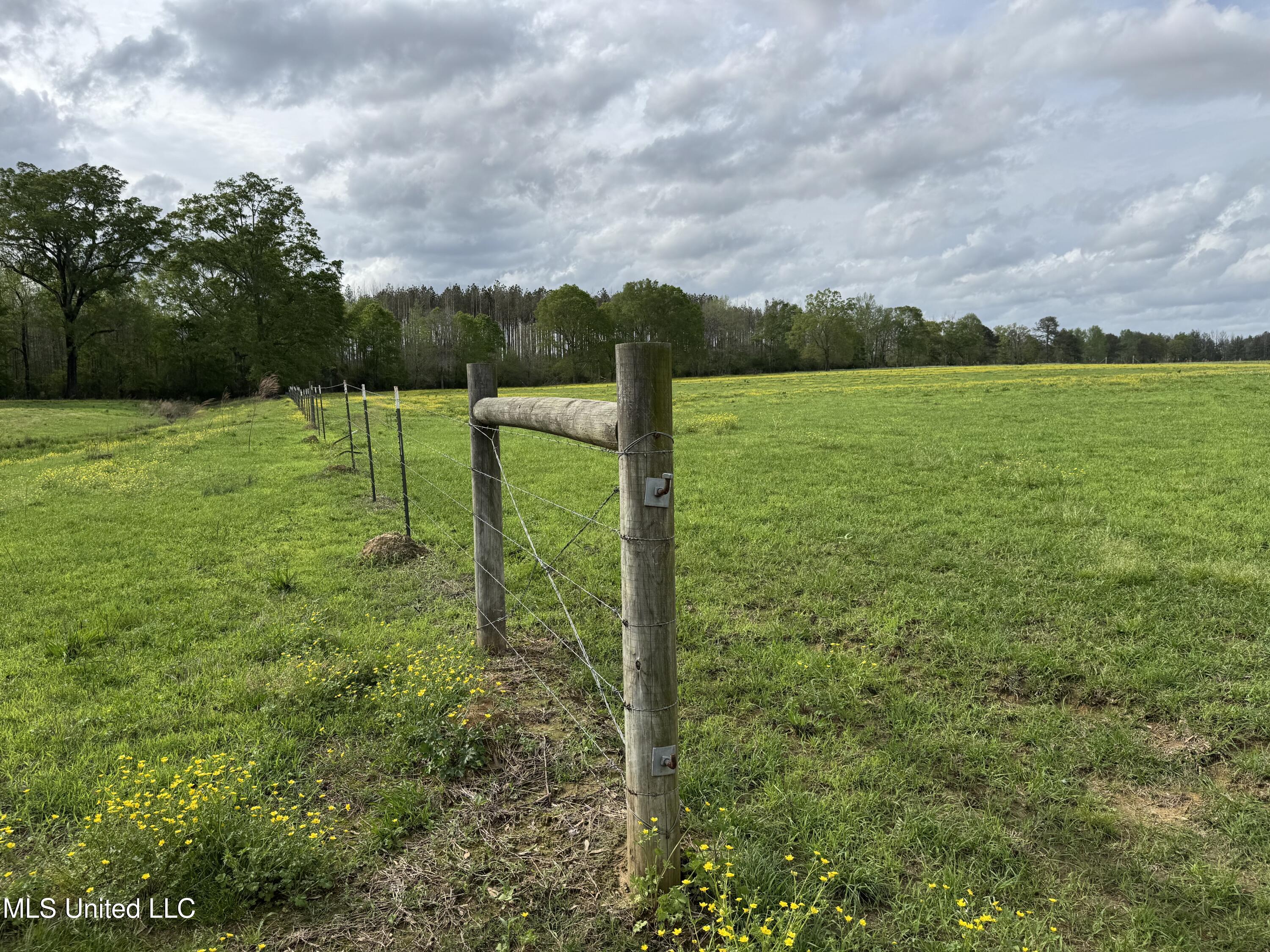 2509 Bogue Chitto Road, Smithdale, Mississippi image 43