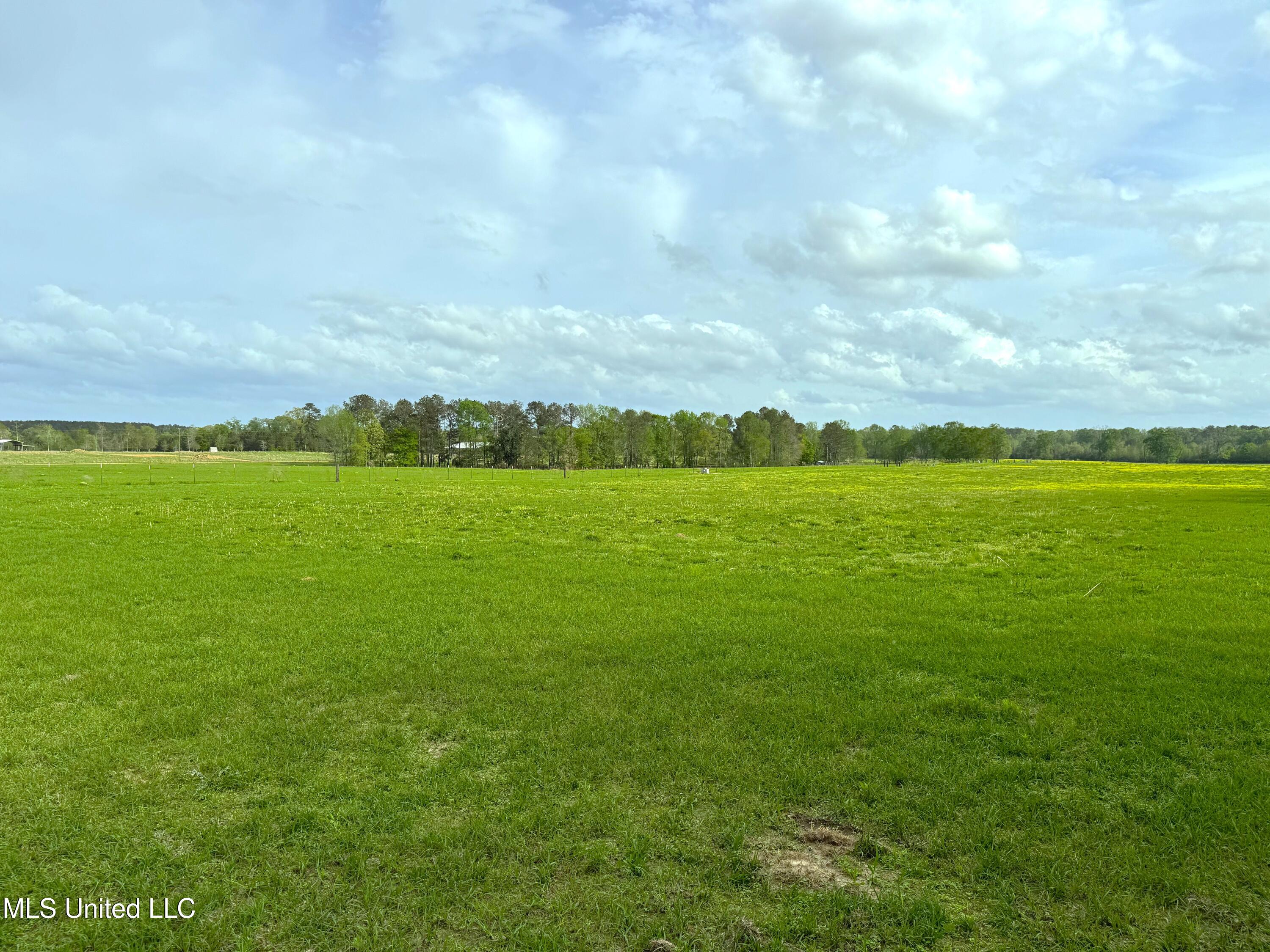 2509 Bogue Chitto Road, Smithdale, Mississippi image 1