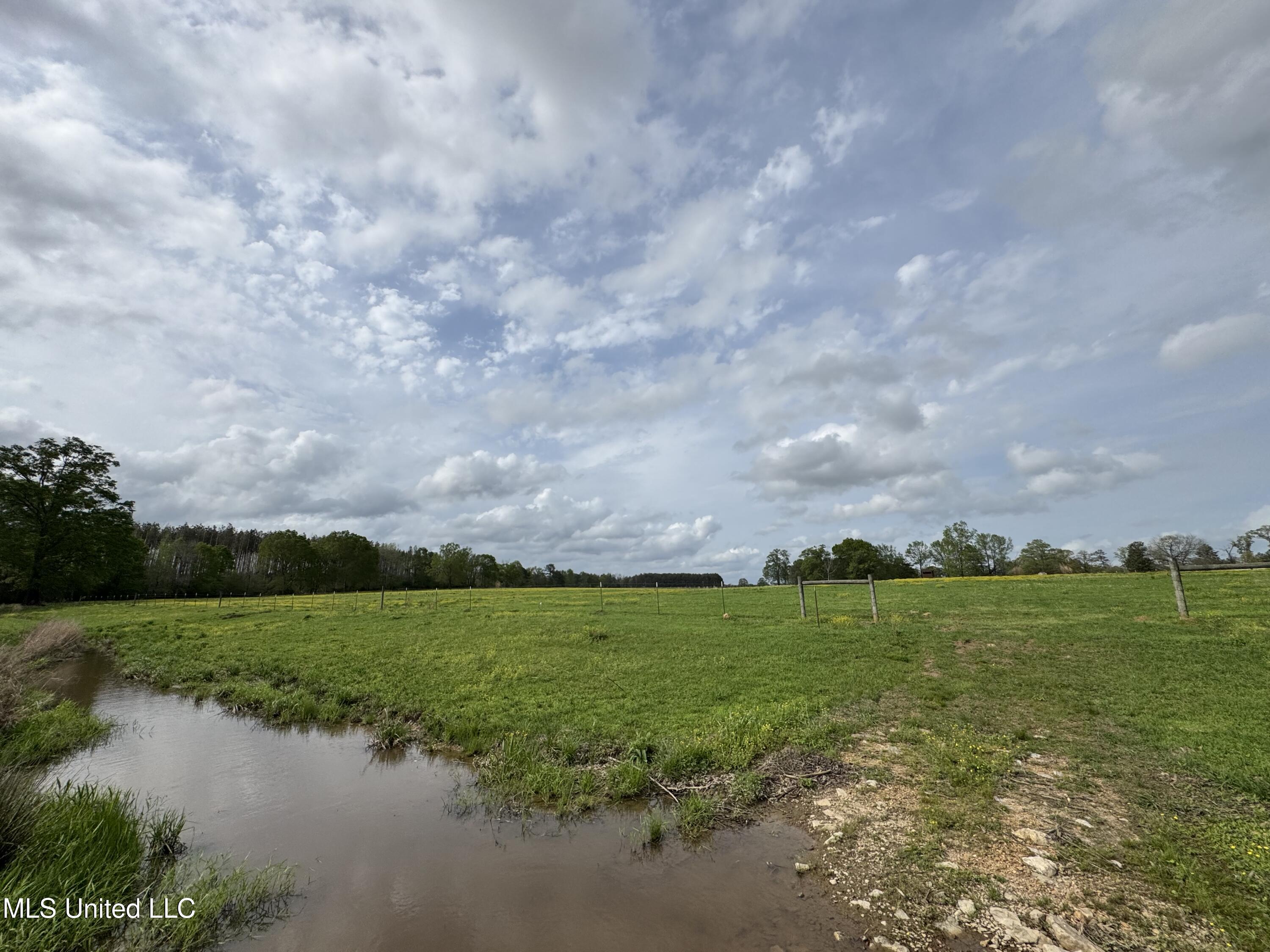 2509 Bogue Chitto Road, Smithdale, Mississippi image 38