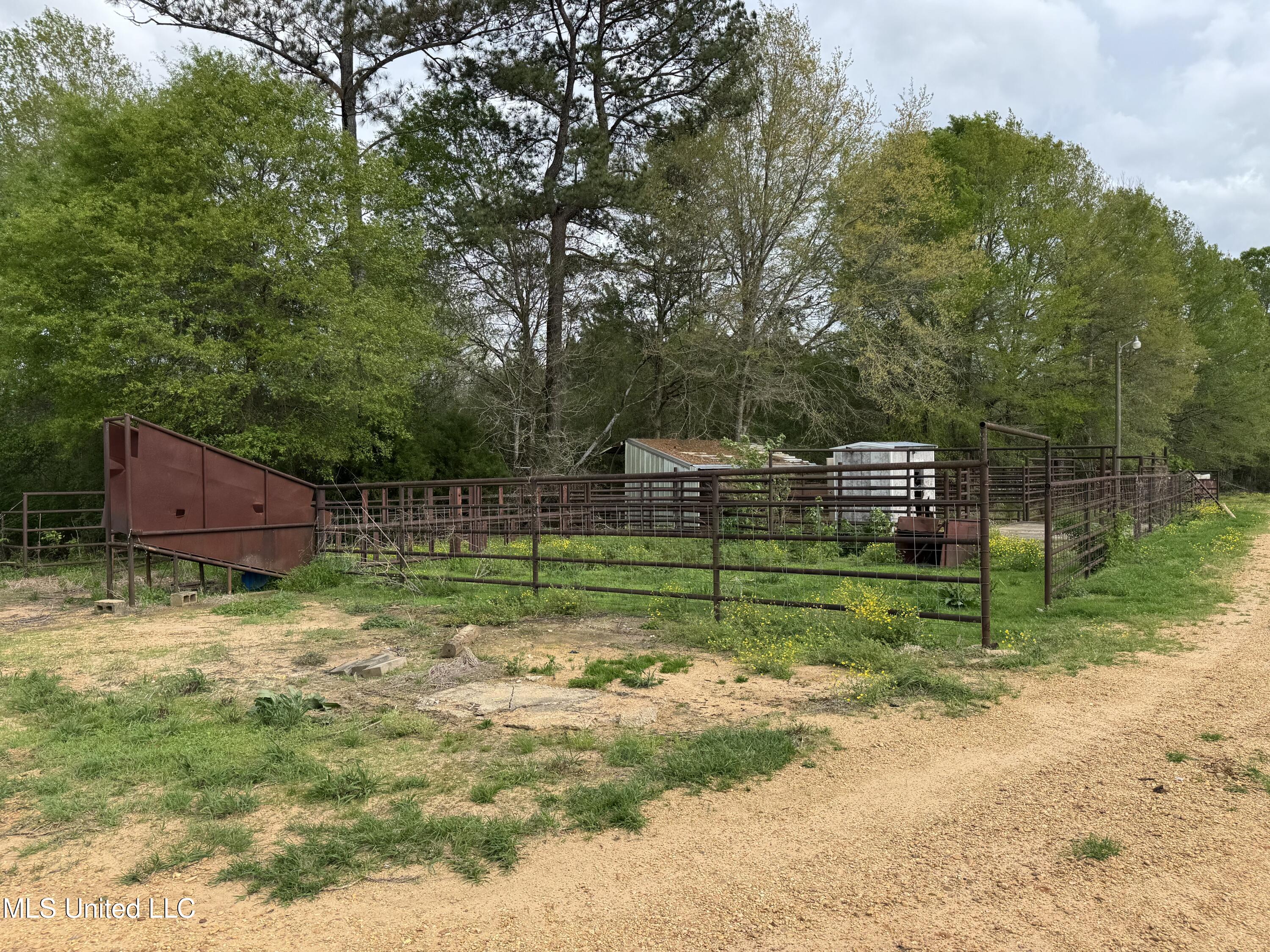 2509 Bogue Chitto Road, Smithdale, Mississippi image 13