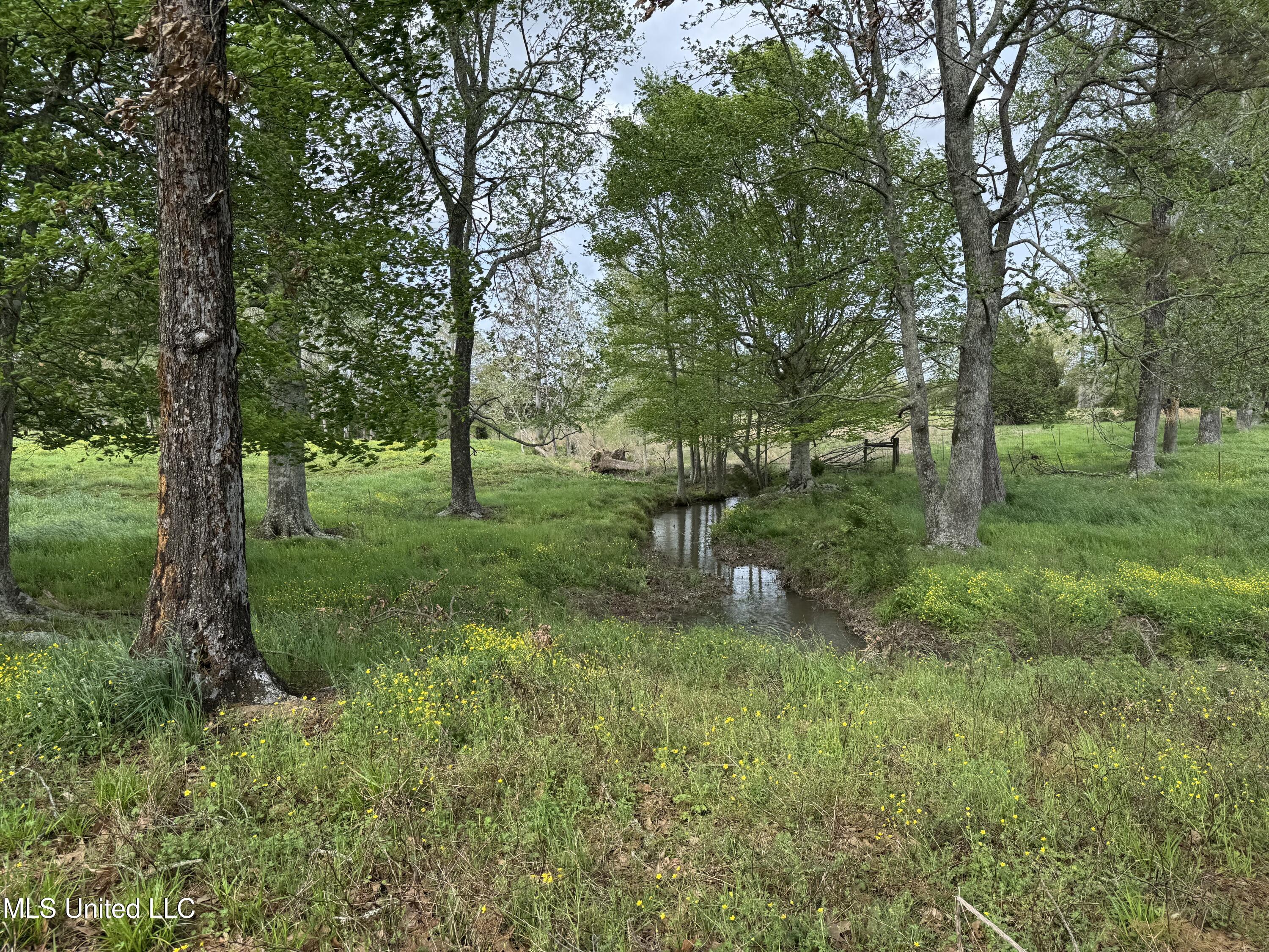 2509 Bogue Chitto Road, Smithdale, Mississippi image 35