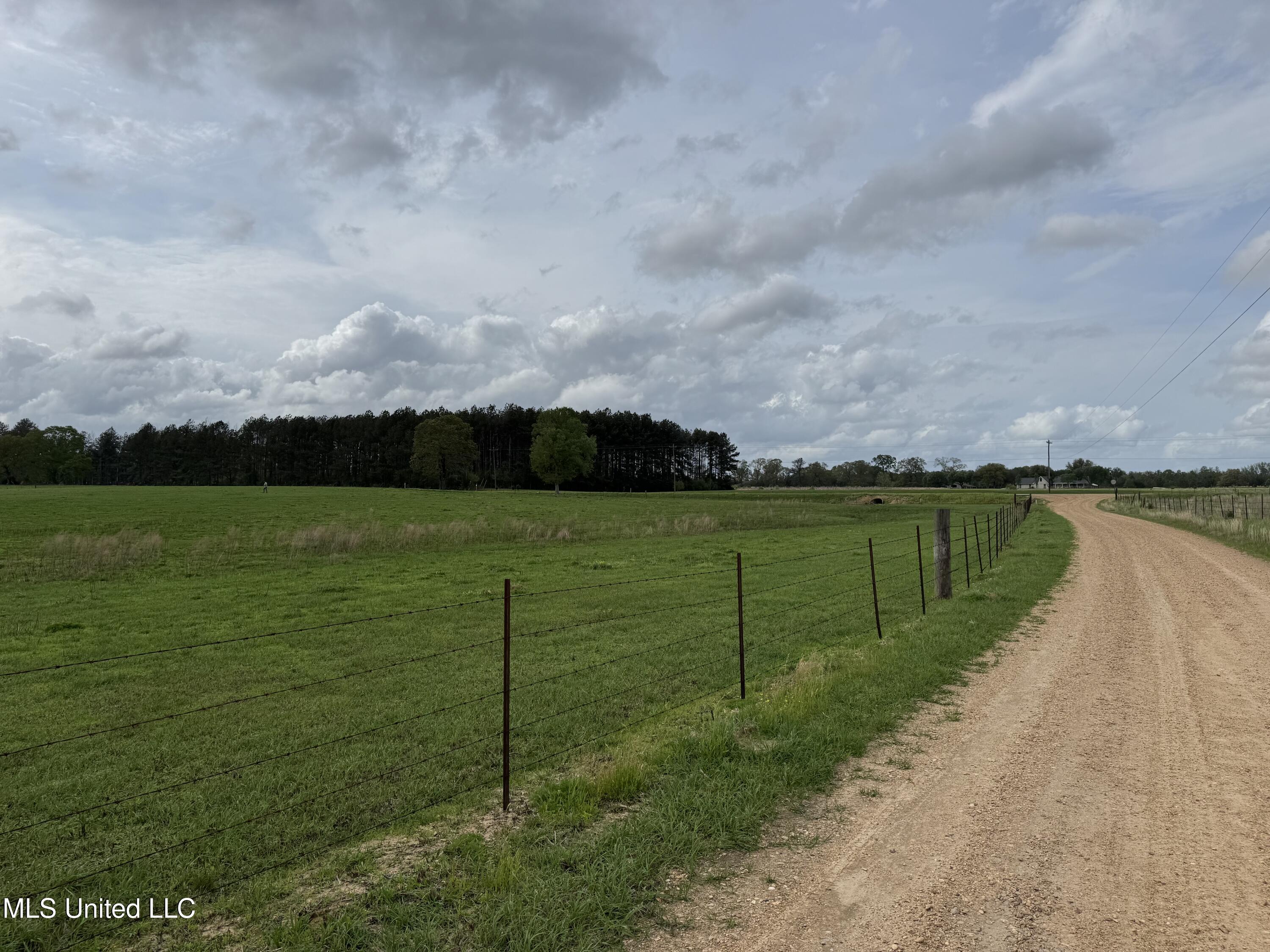 2509 Bogue Chitto Road, Smithdale, Mississippi image 7