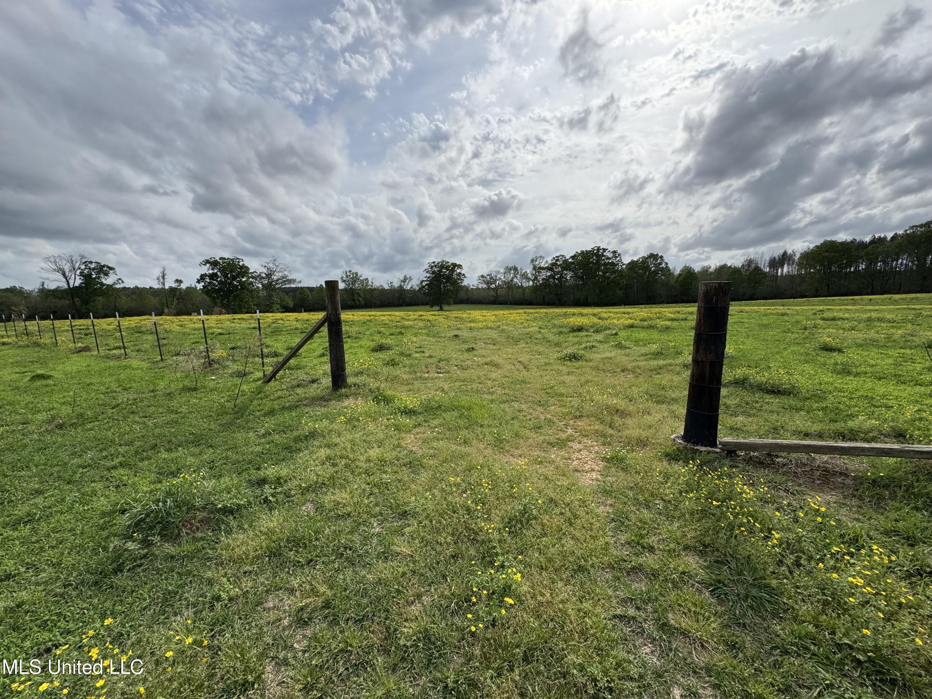 2509 Bogue Chitto Road, Smithdale, Mississippi image 28
