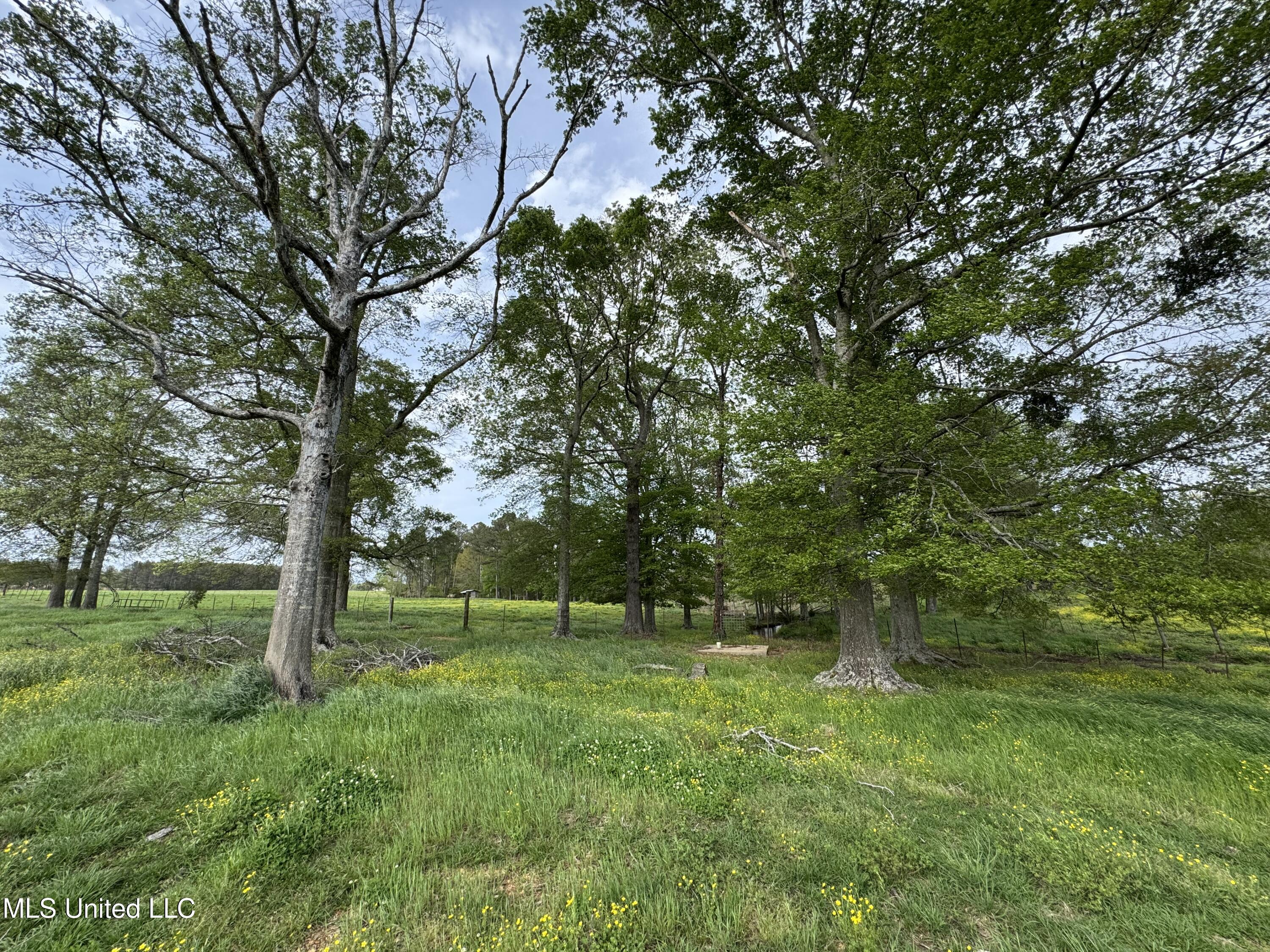 2509 Bogue Chitto Road, Smithdale, Mississippi image 33