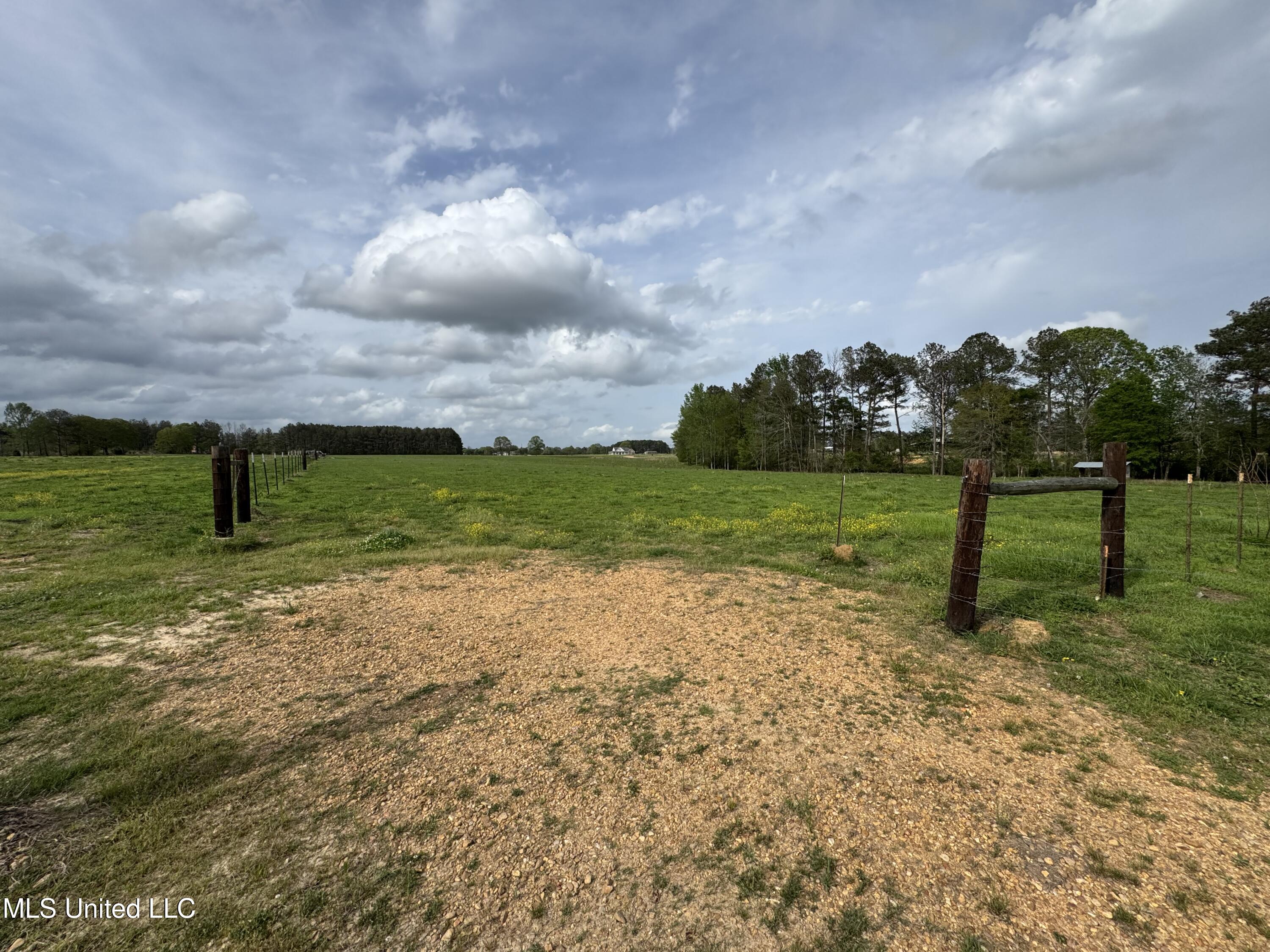 2509 Bogue Chitto Road, Smithdale, Mississippi image 49