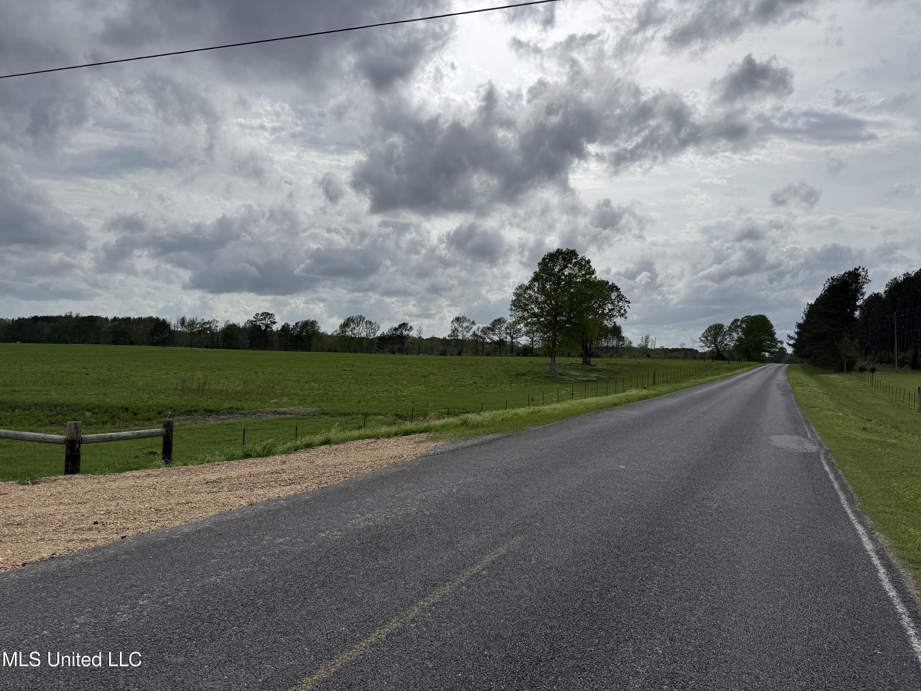 2509 Bogue Chitto Road, Smithdale, Mississippi image 4