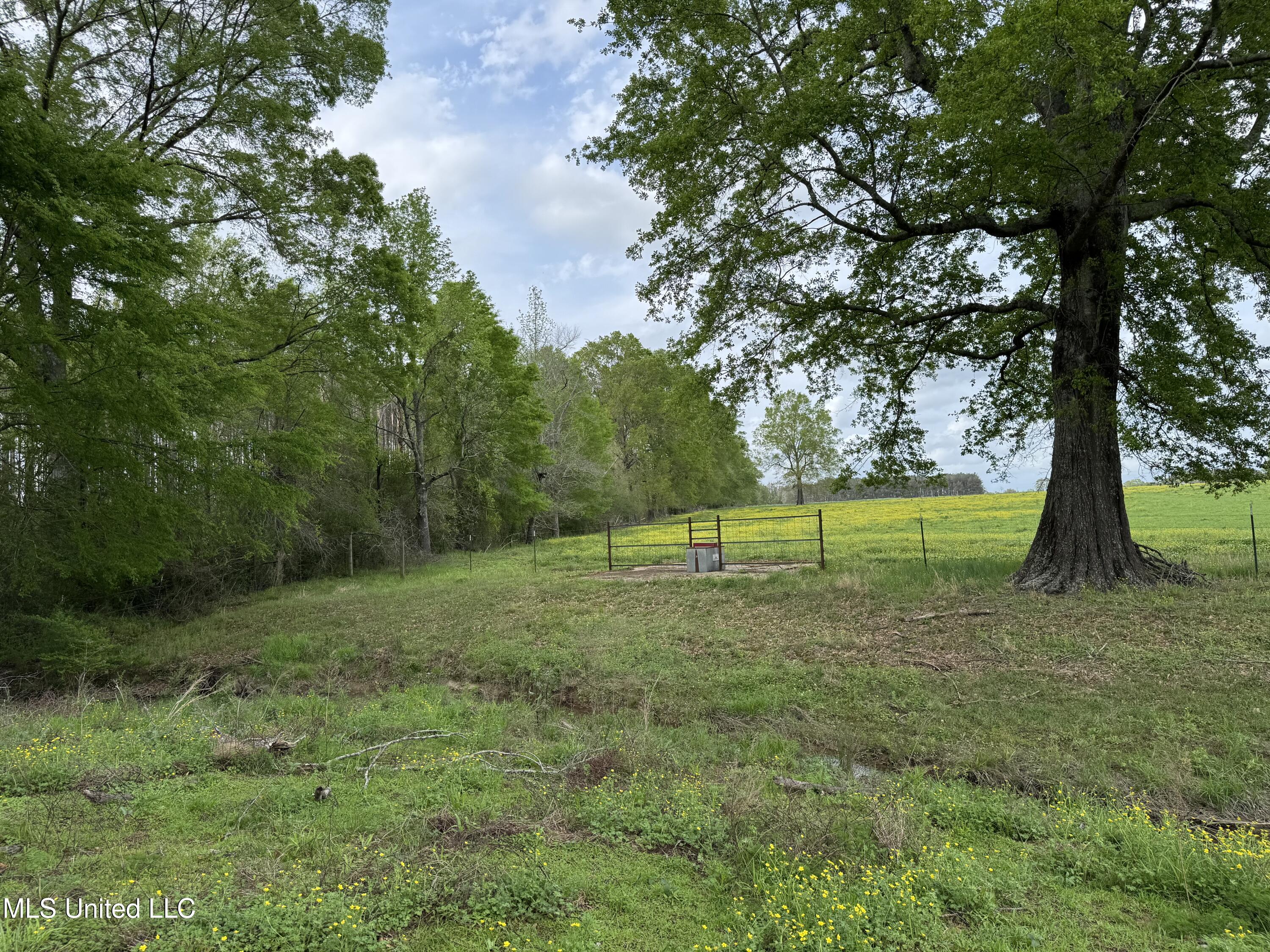 2509 Bogue Chitto Road, Smithdale, Mississippi image 42