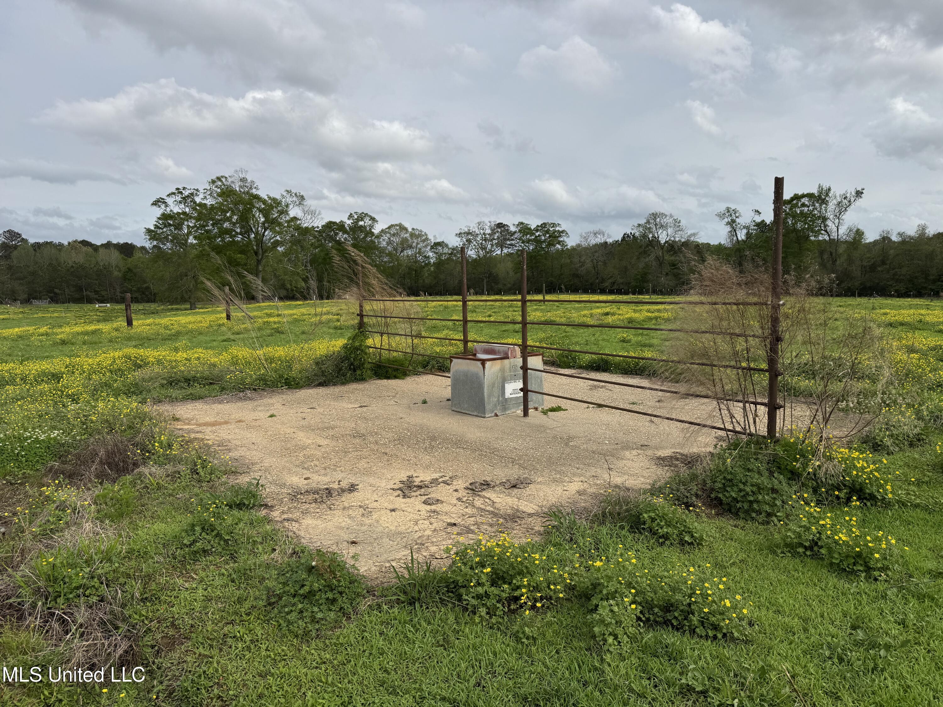 2509 Bogue Chitto Road, Smithdale, Mississippi image 36