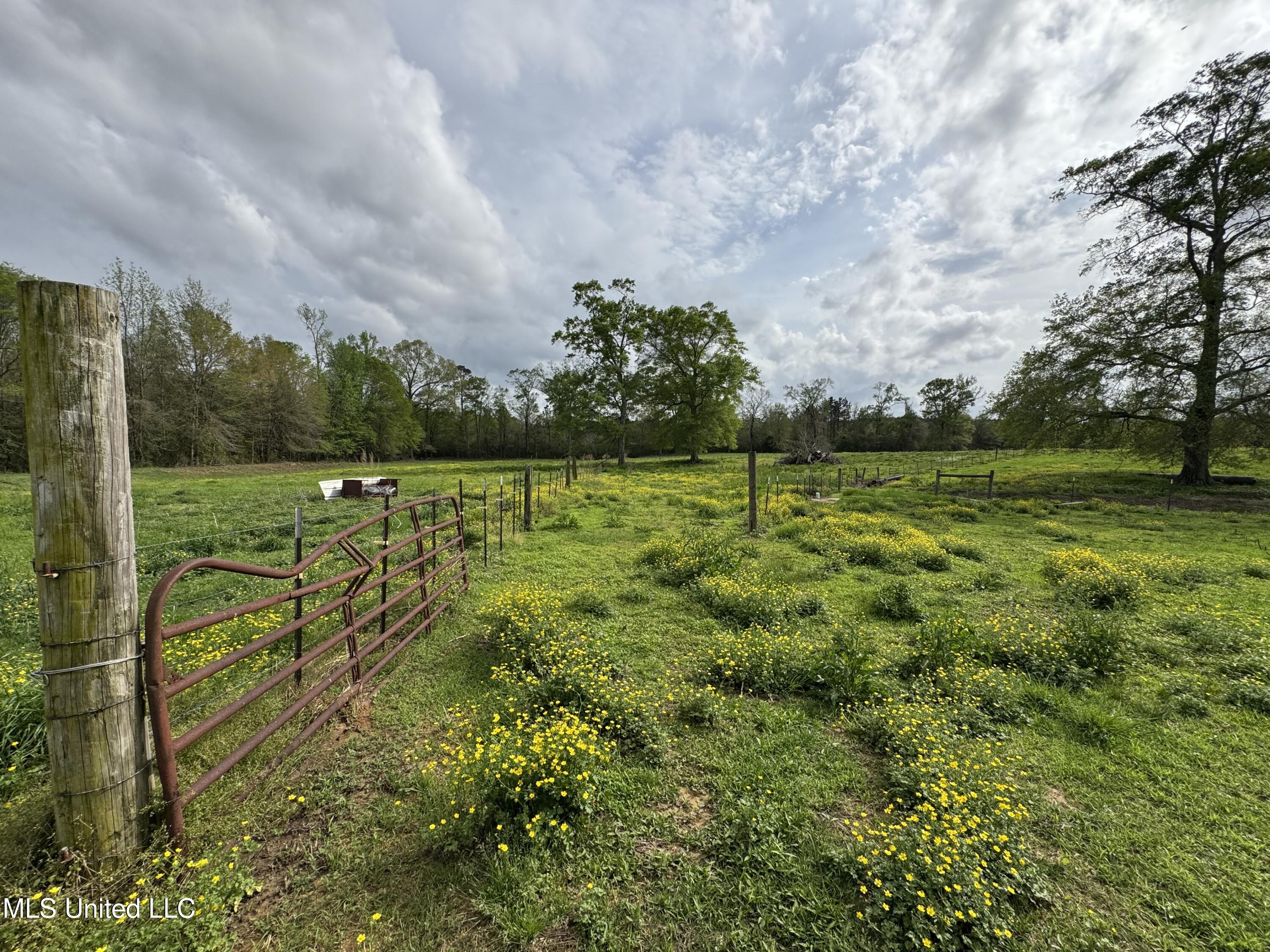 2509 Bogue Chitto Road, Smithdale, Mississippi image 26