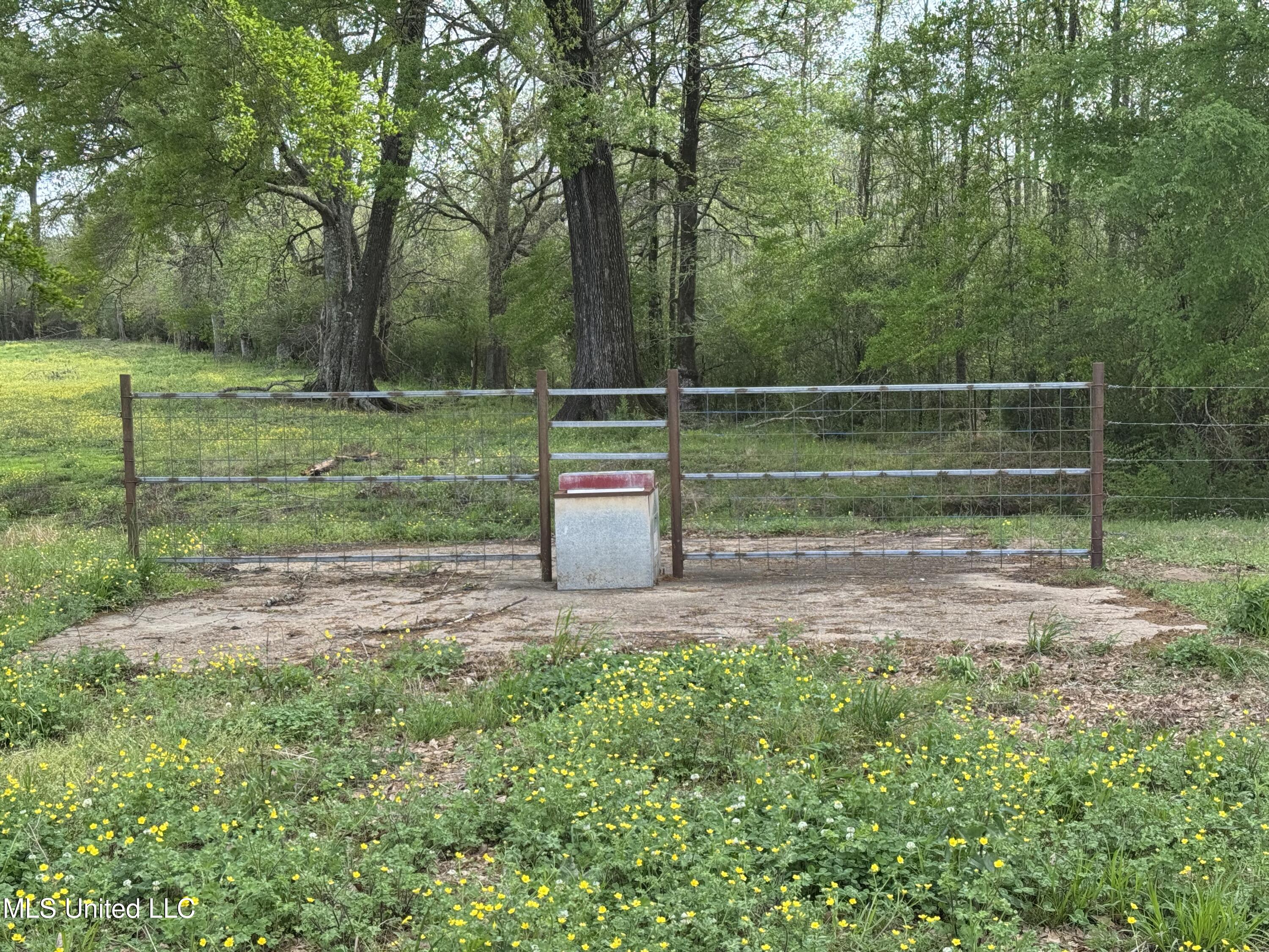 2509 Bogue Chitto Road, Smithdale, Mississippi image 44