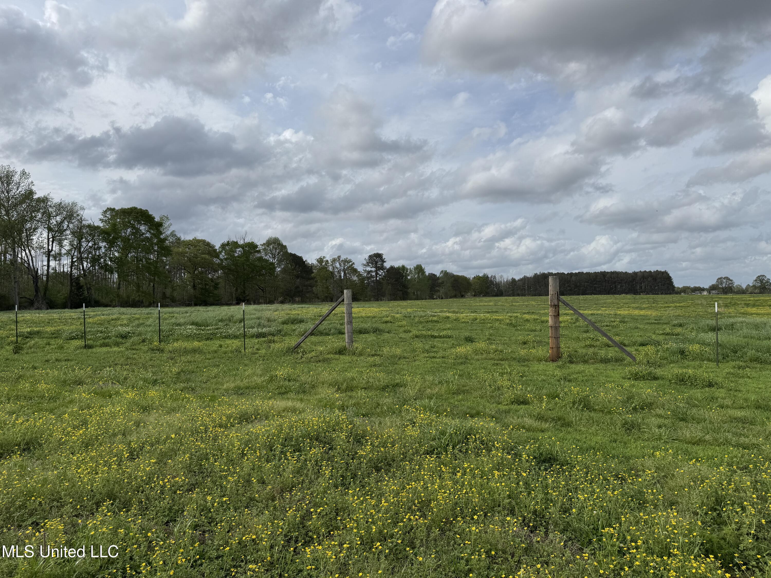2509 Bogue Chitto Road, Smithdale, Mississippi image 46