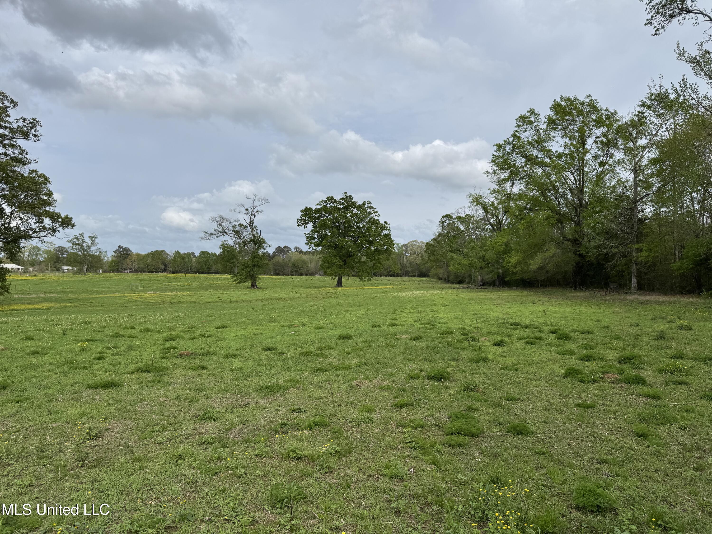 2509 Bogue Chitto Road, Smithdale, Mississippi image 39